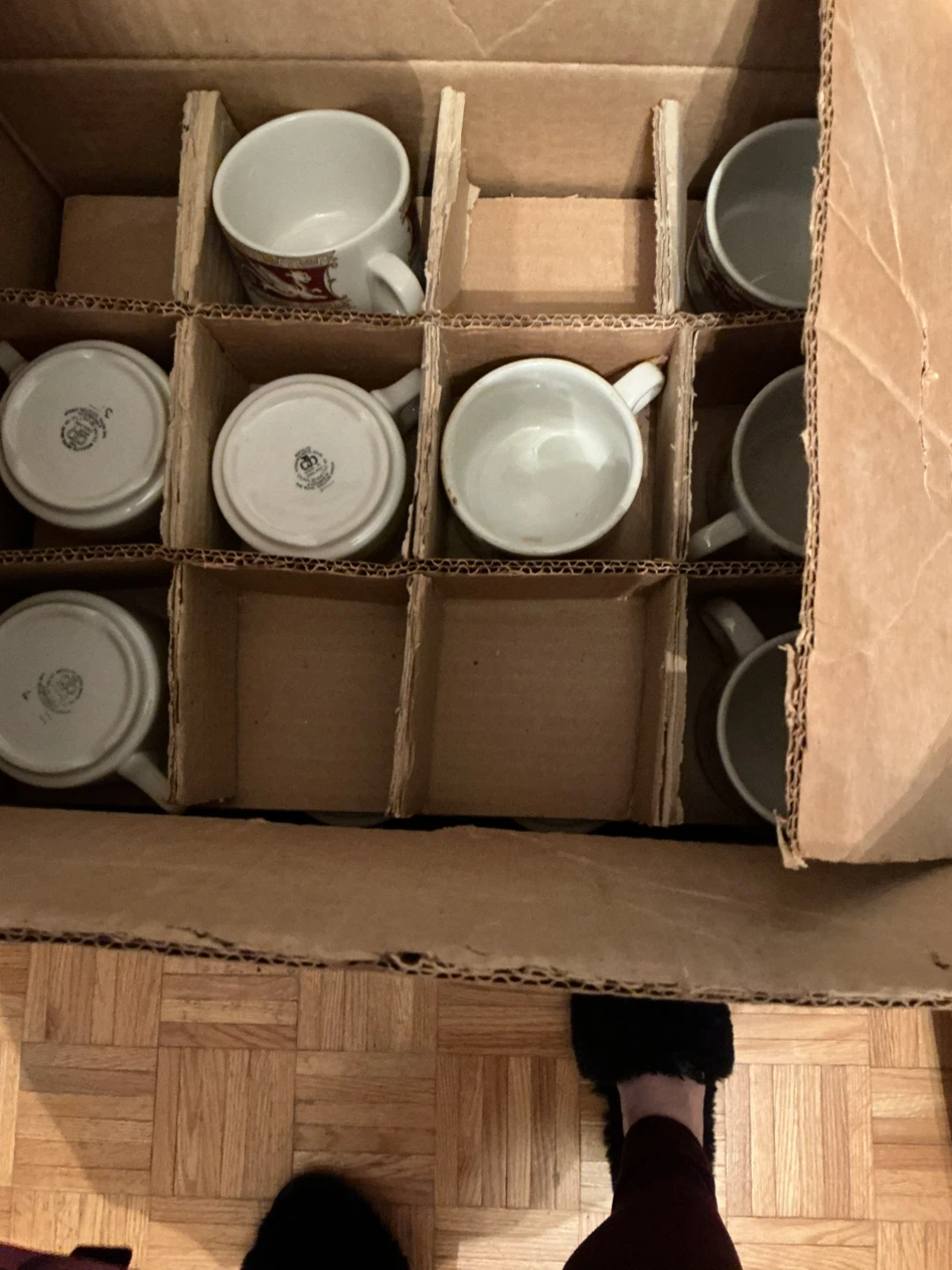 Hotelware by D.P. Ransomes & Co. Ltd. - 6 7/8" Plates & Mugs