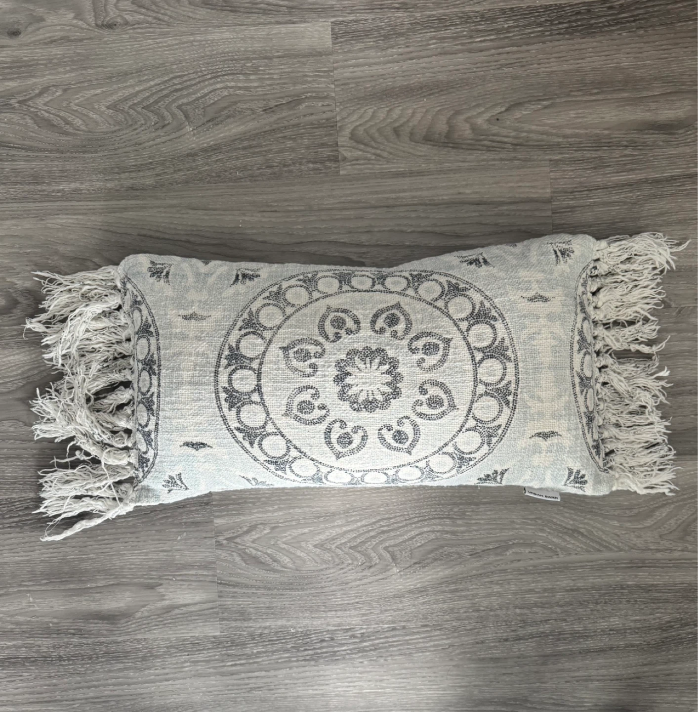 Urban Barn Accent Pillow