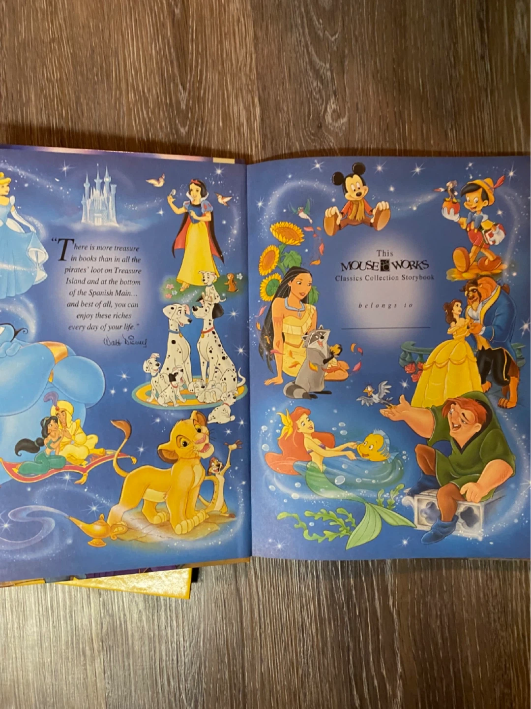 Disney's Aladdin and The Hunchback of Notre Dame Storybooks - photo 3