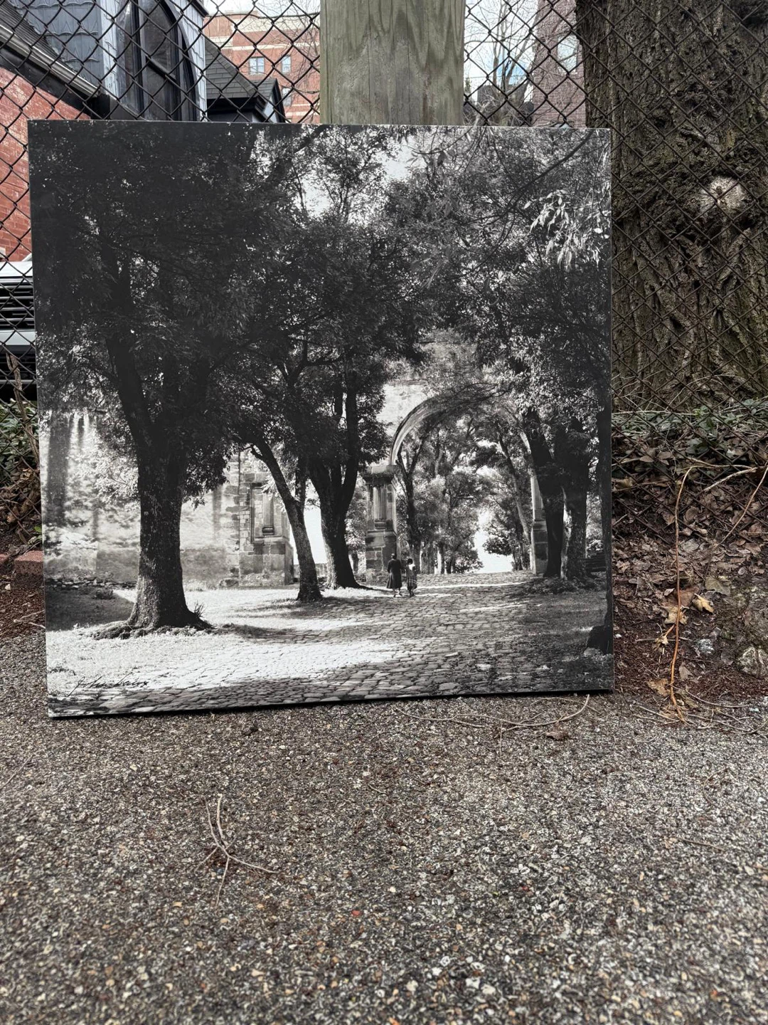 Black and White Archway Landscape Art Print