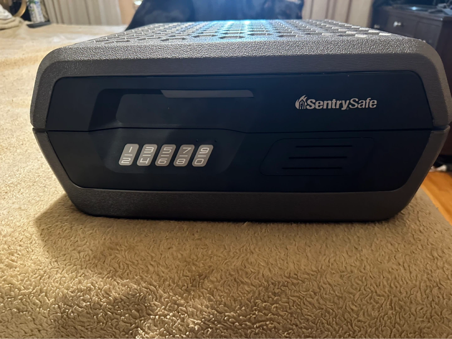 SentrySafe Digital Fireproof Safe