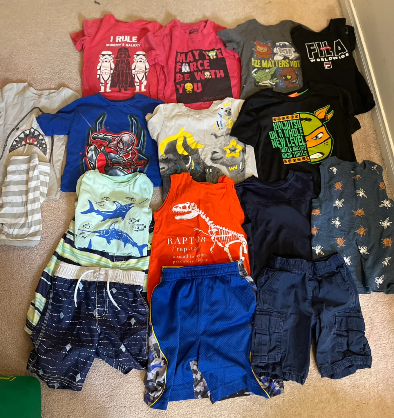 Boys Assorted T-Shirts and Shorts Bundle