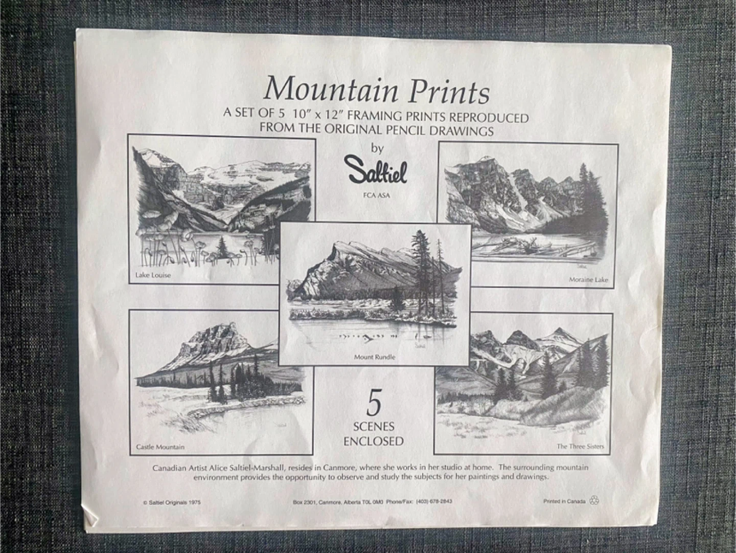 Saltiel  Mountain Prints Set (5 Scenes)