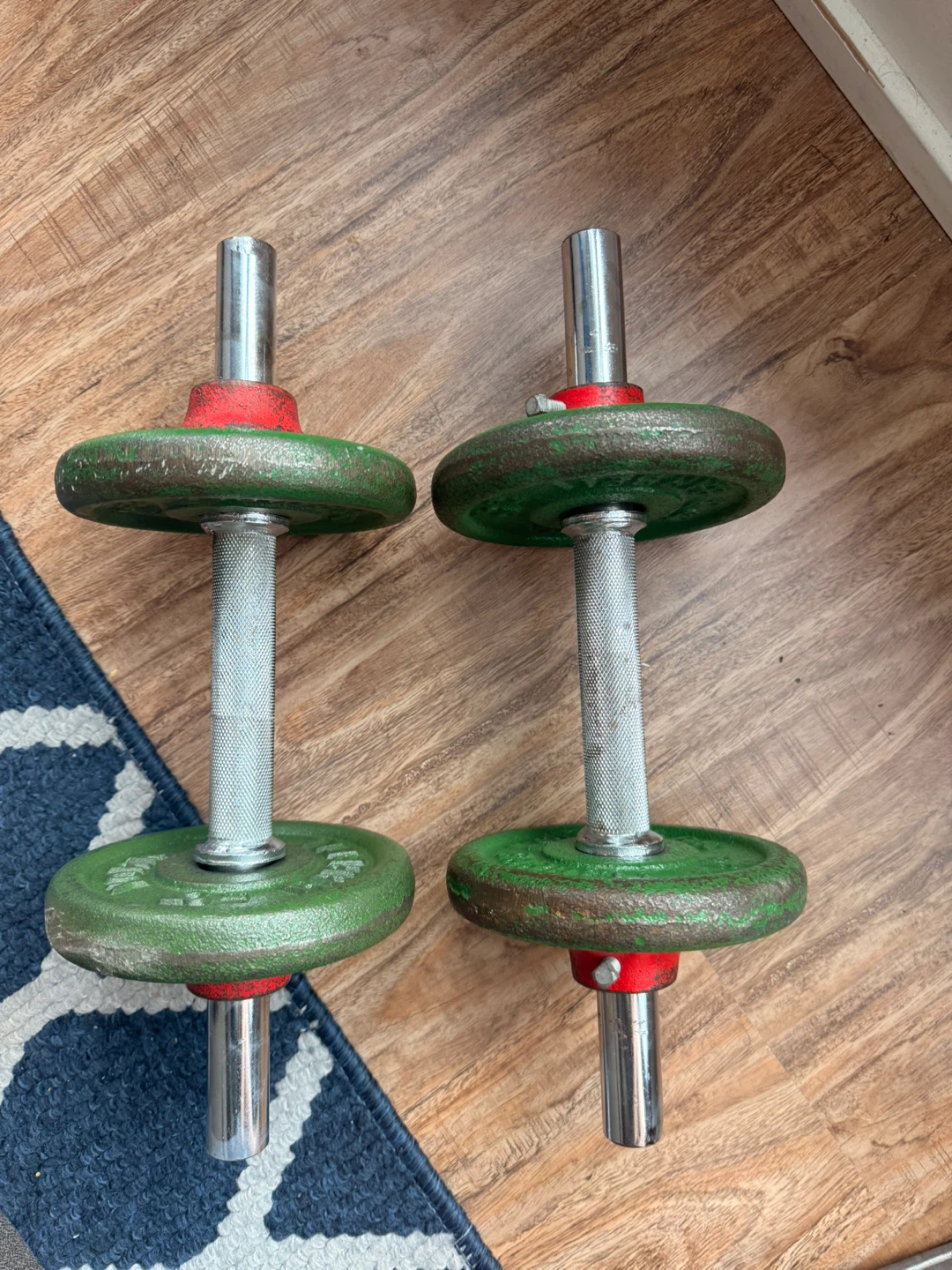 York Barbell Dumbbells (15 lb each)