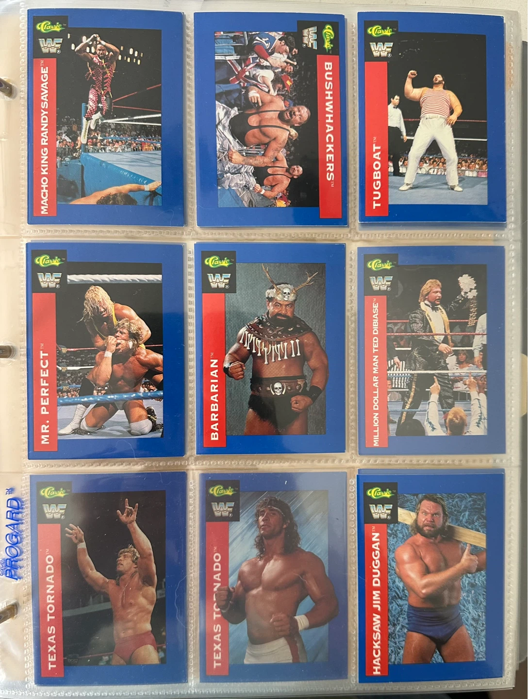 1991 WWF Classic Trading  Wrestling Cards Set (Not Complete). - photo 2