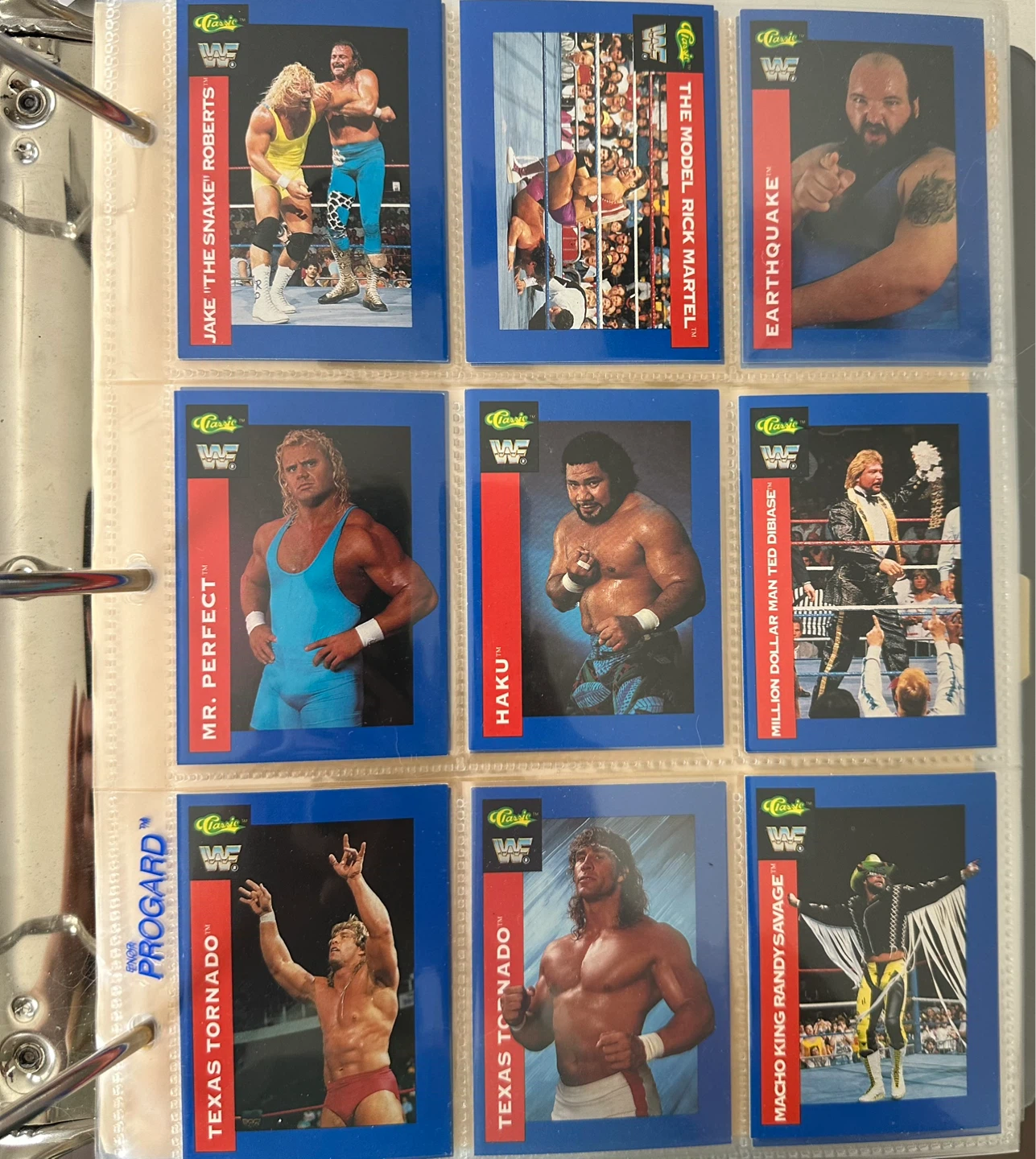 1991 WWF Classic Trading  Wrestling Cards Set (Not Complete).