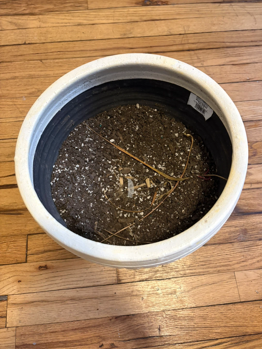 Large Textured Planter with Saucer - photo 3