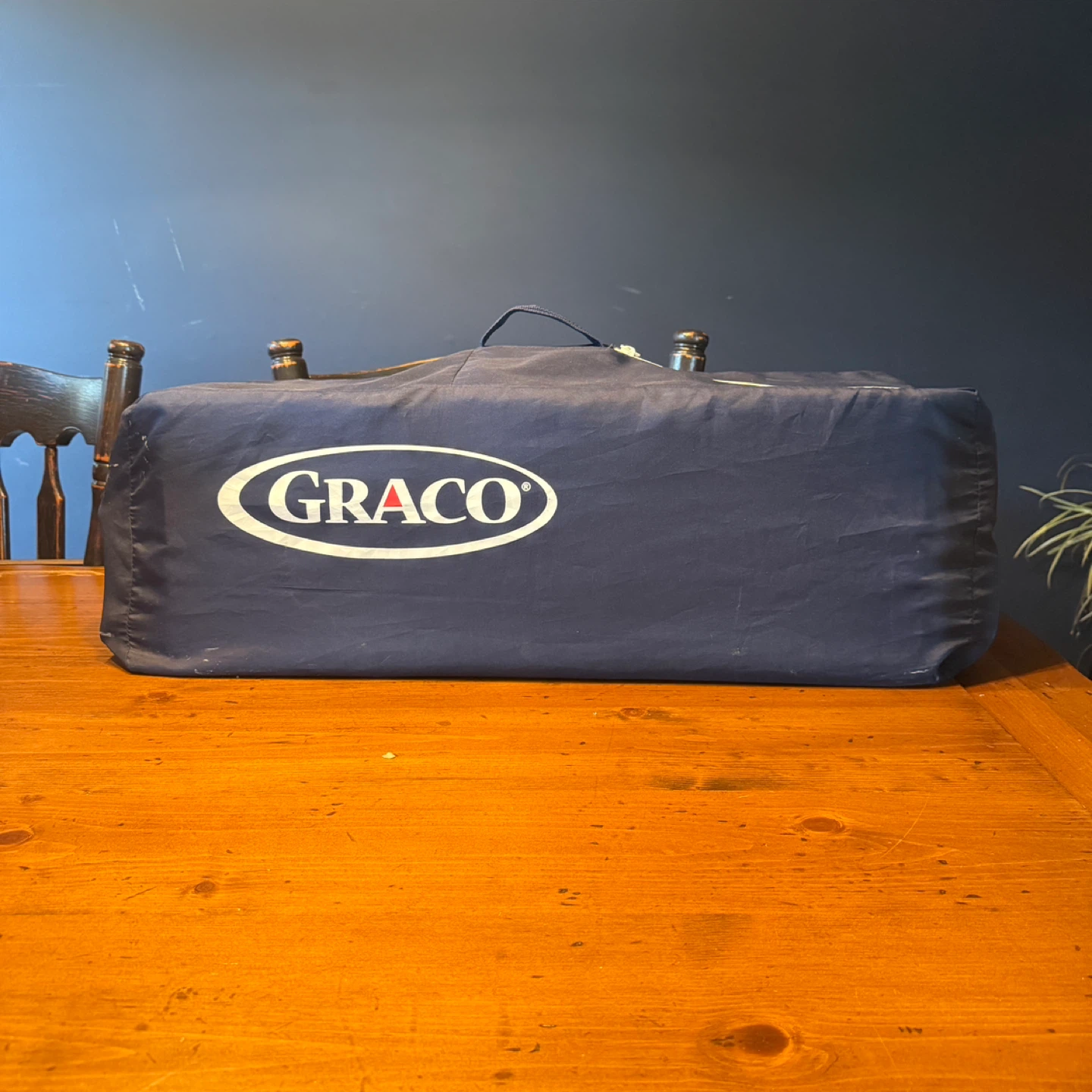 Graco Pack 'n Play Travel Bag
