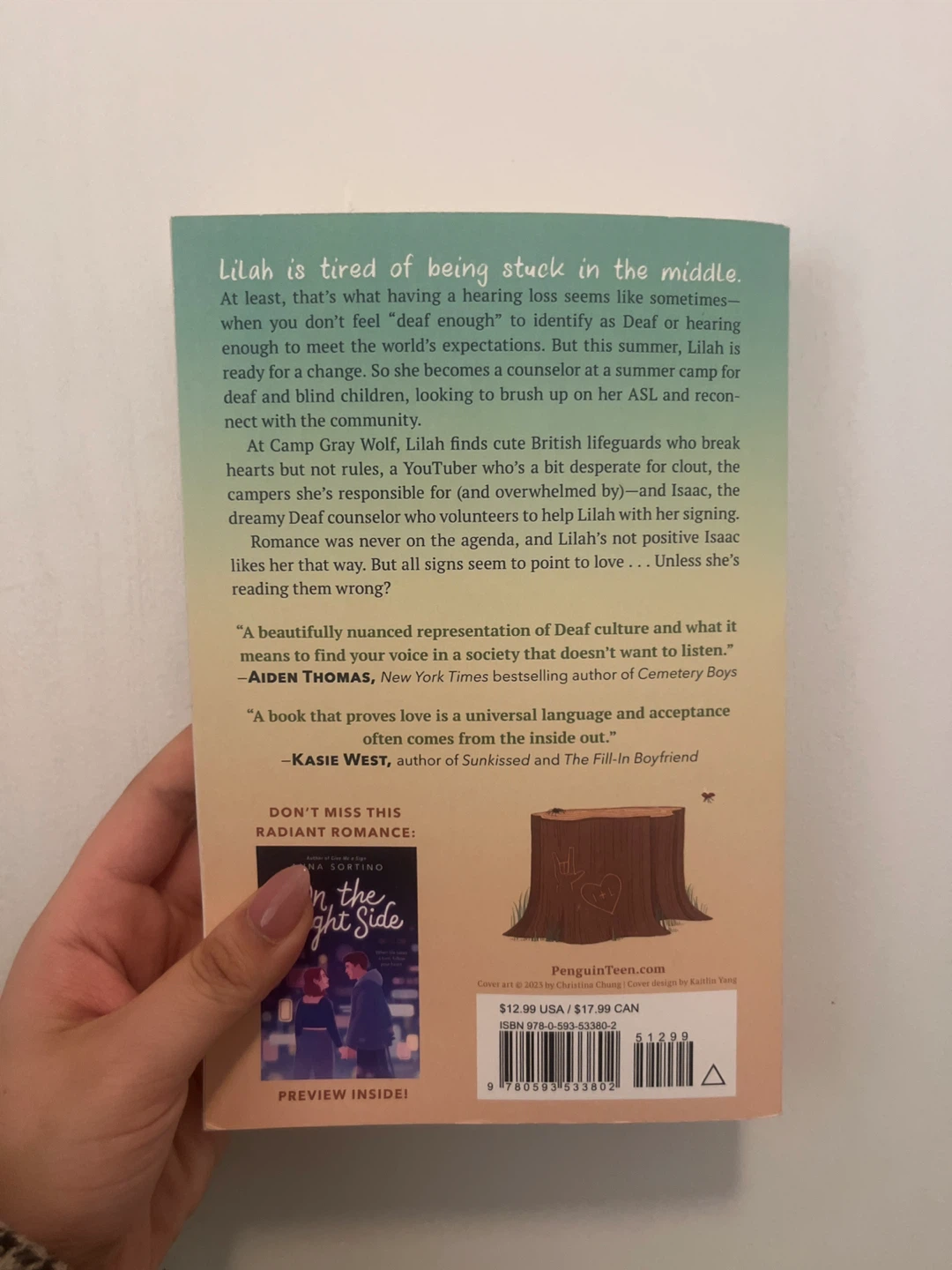 Give Me a Sign by Anna Sortino - Young Adult Romance - photo 2