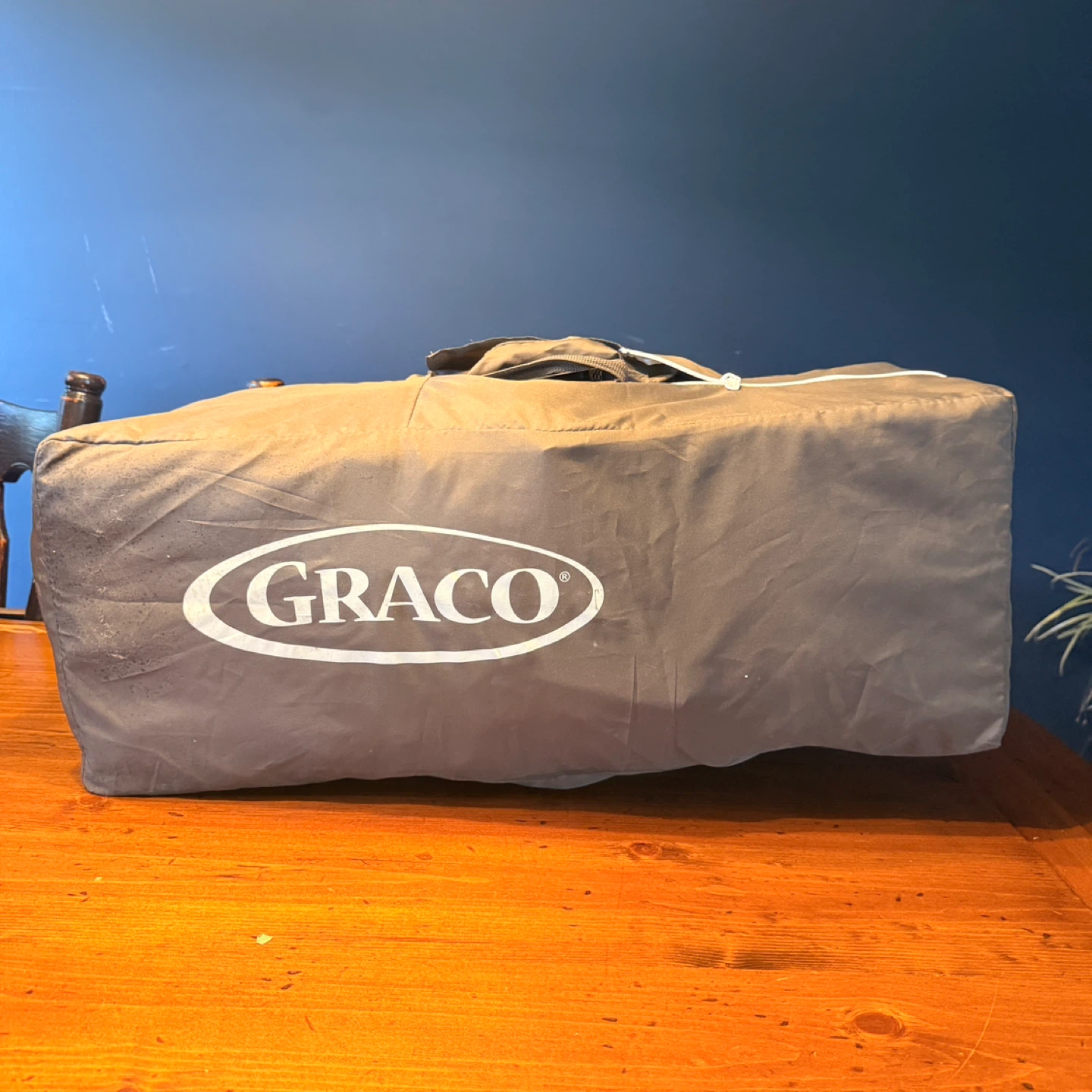 Graco Pack 'n Play Travel Lite Crib with Stages