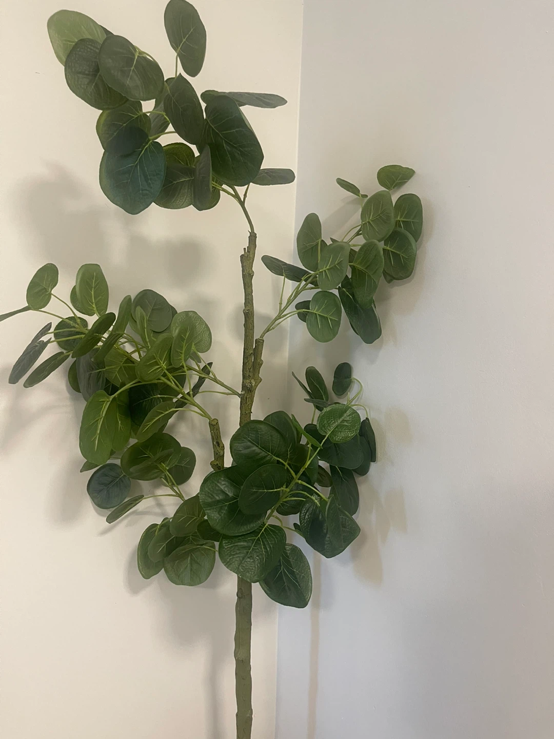 Artificial Eucalyptus Plant in Basket - photo 2