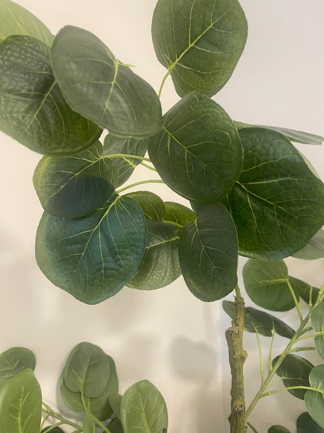 Artificial Eucalyptus Plant in Basket - photo 3