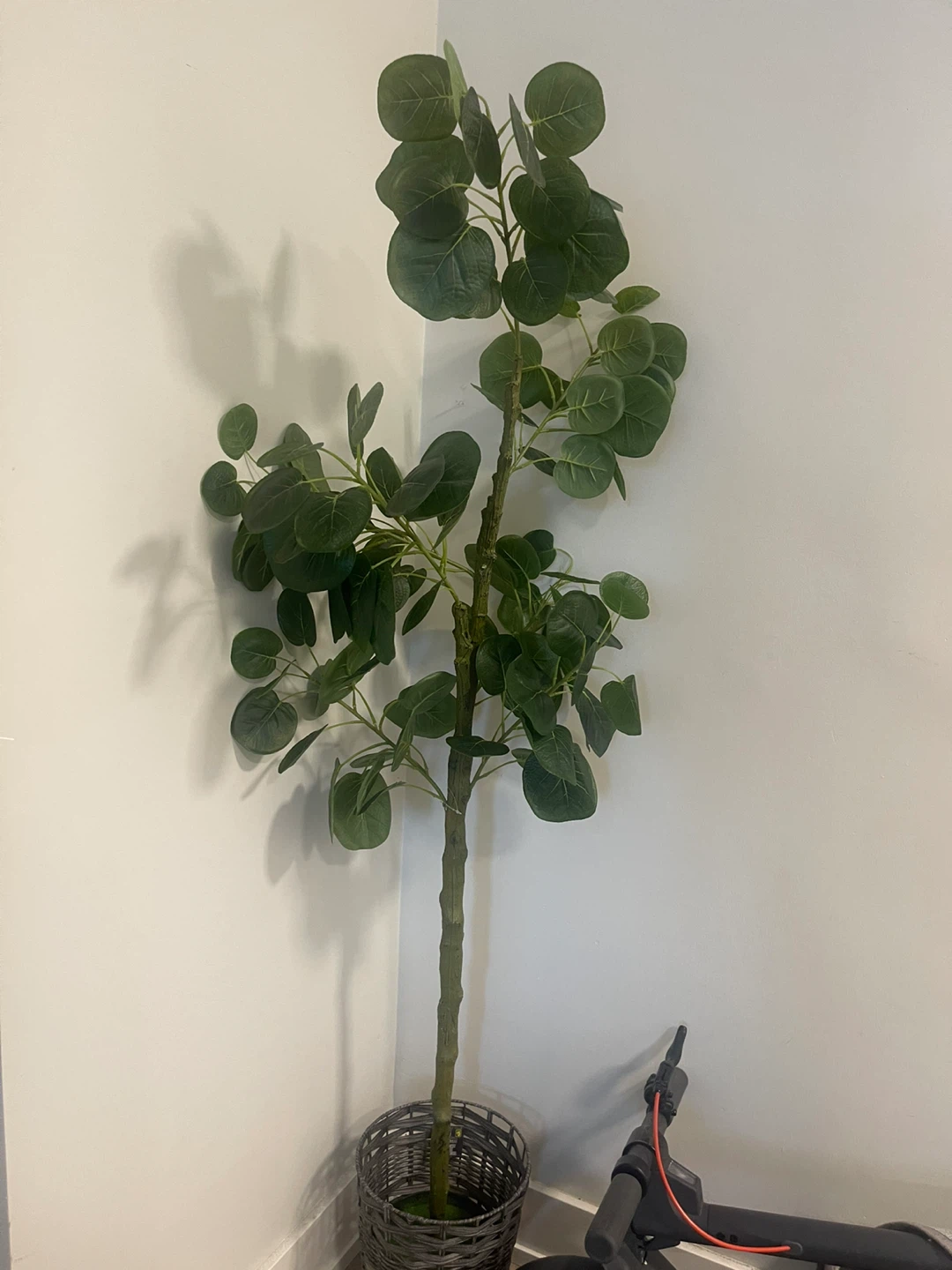 Artificial Eucalyptus Plant in Basket
