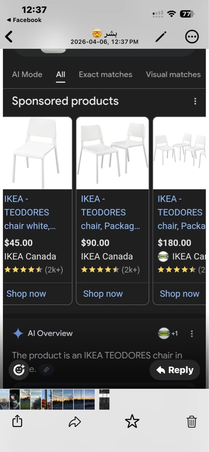 IKEA TEODORES Chairs (Set of 4) - photo 3