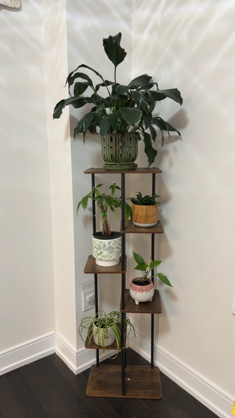 5-Tier Corner Plant Stand