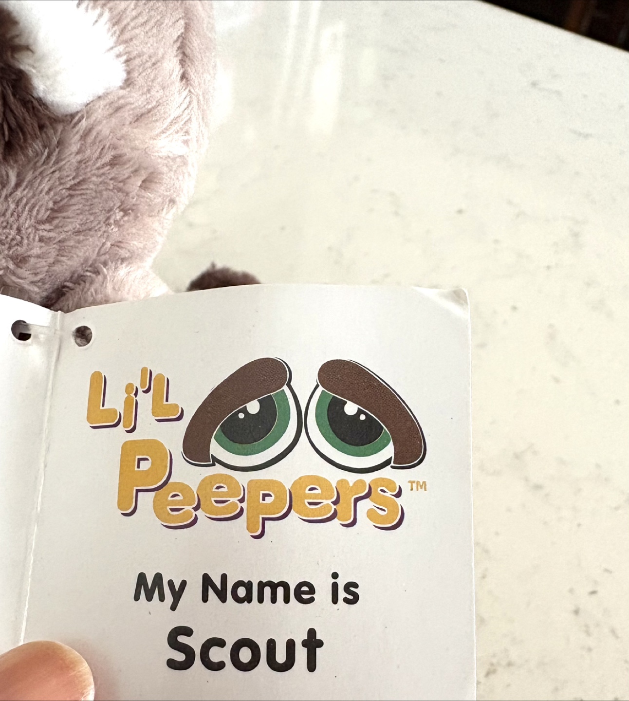 Russ Li'l Peepers "Scout" Raccoon Plush - photo 3
