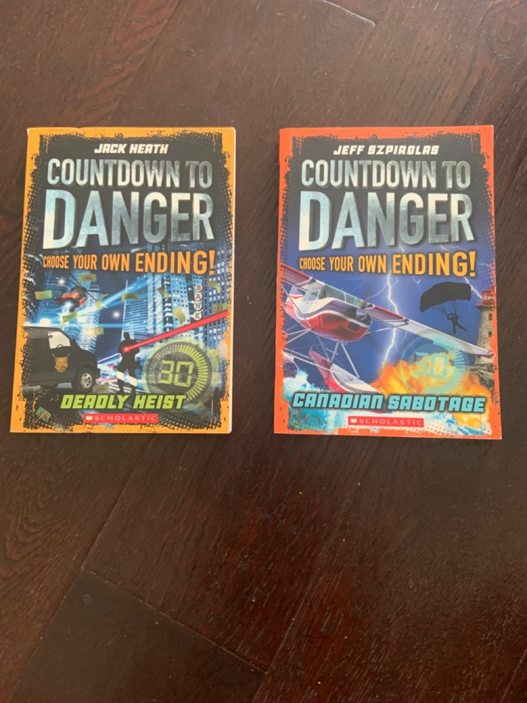 Countdown to Danger Choose Your Own Ending Books