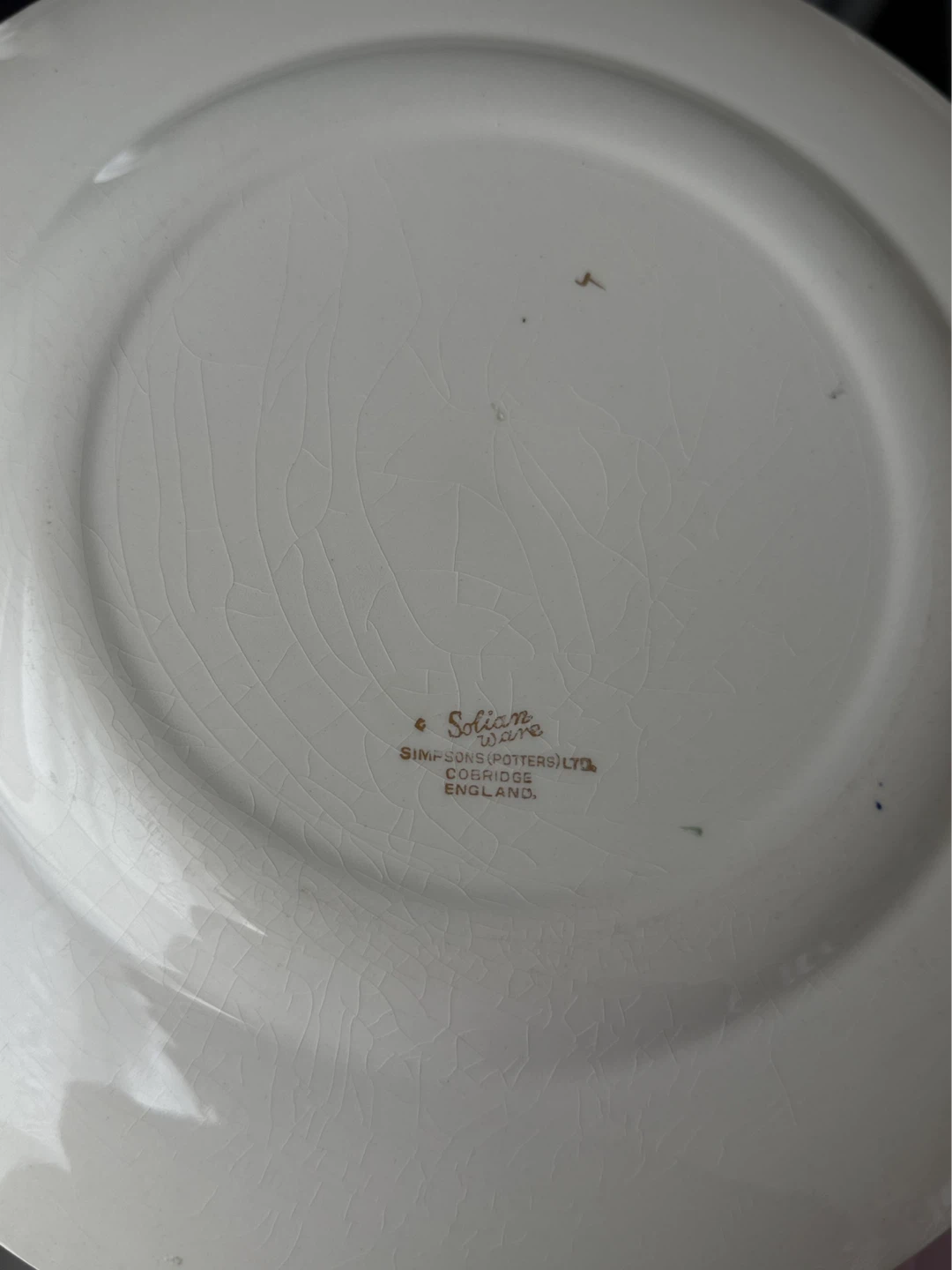 Simpson's Potters "Eldora" Plate - photo 3