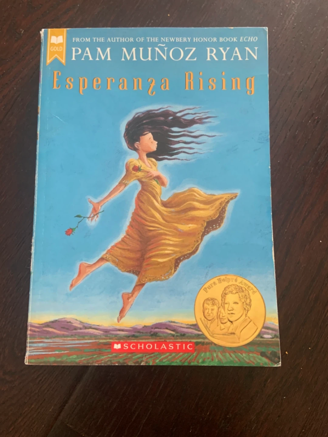Tween Girls Books - photo 4