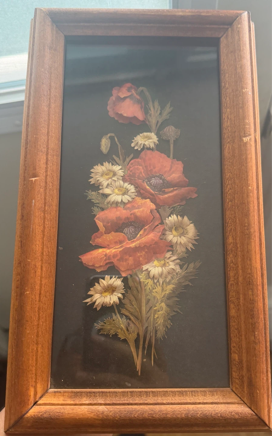 Framed Pressed Flower Art - Poppies and Daisies