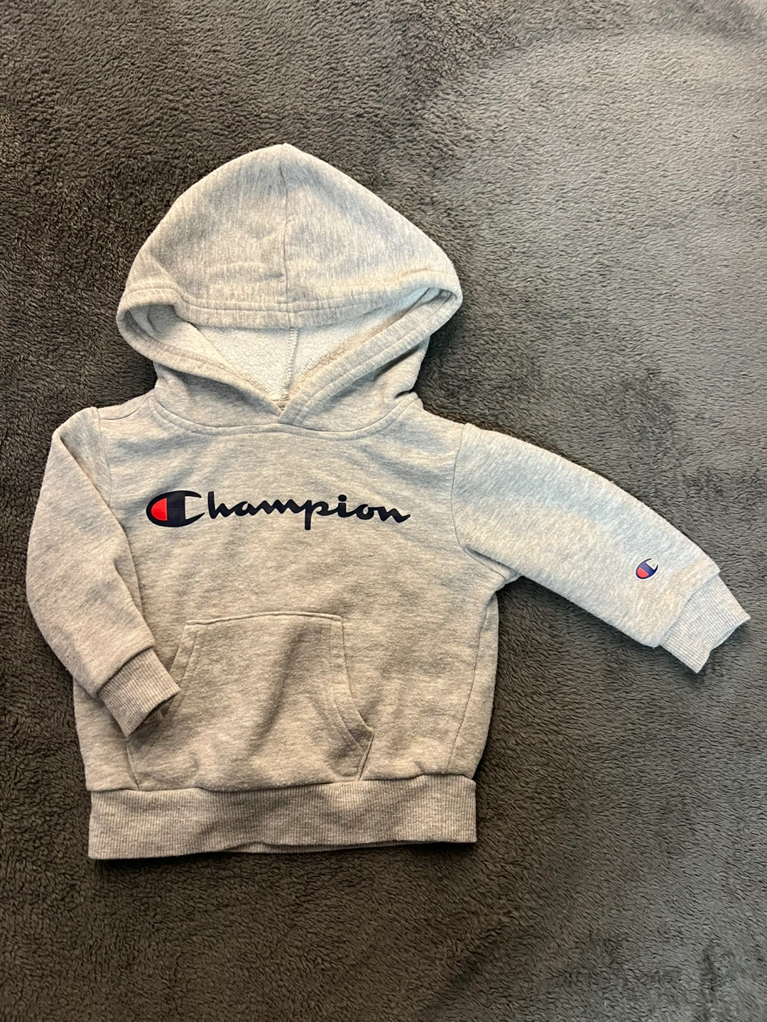 Champion Grey Hoodie - 12M