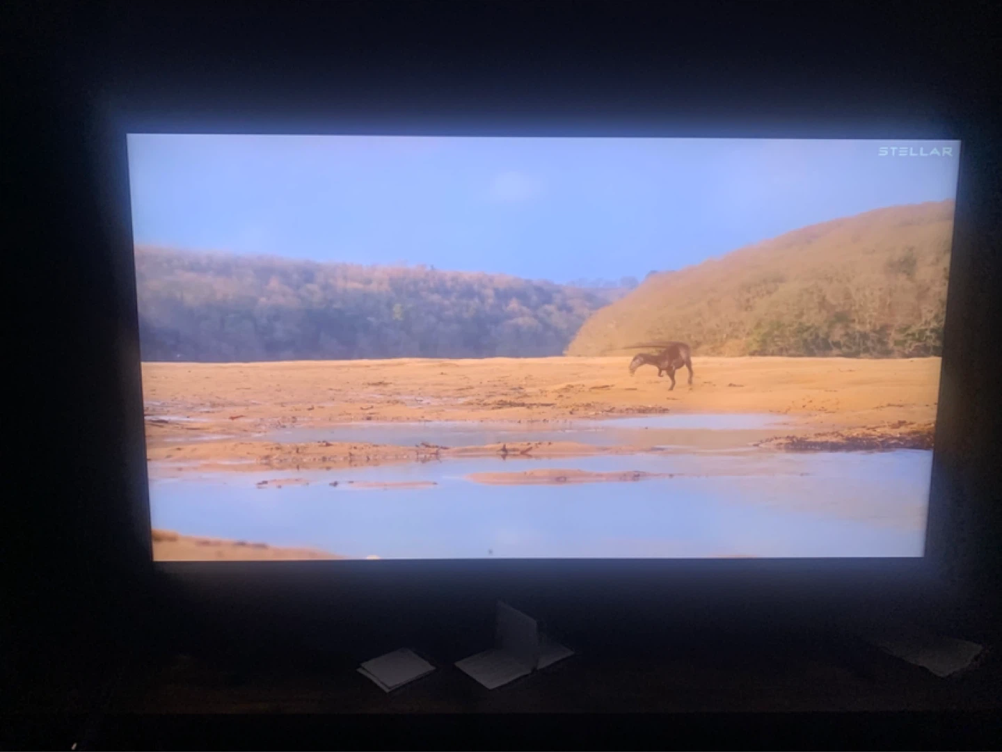 Sony 55" Smart TV