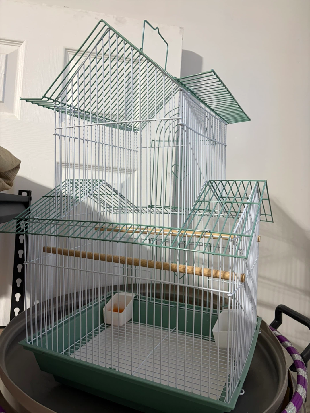 Bird Cage