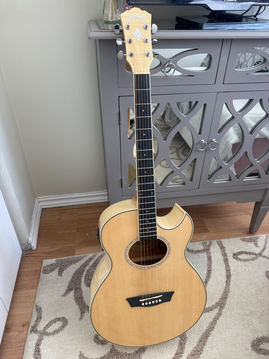 Washburn EA20-A Guitar & More