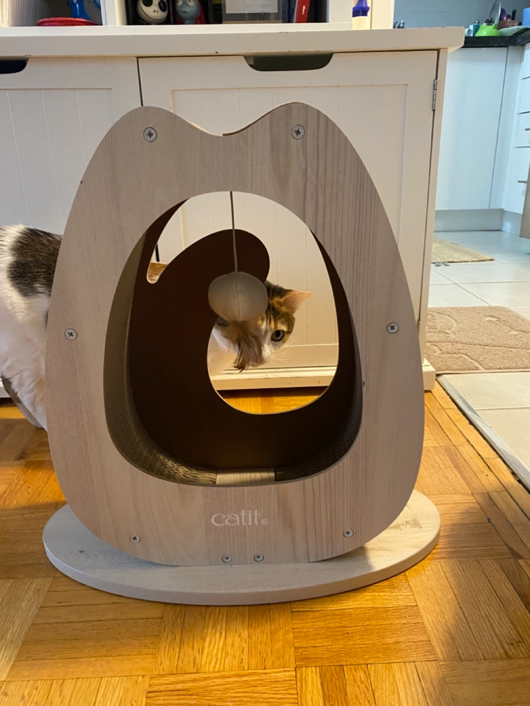 Cat scratcher