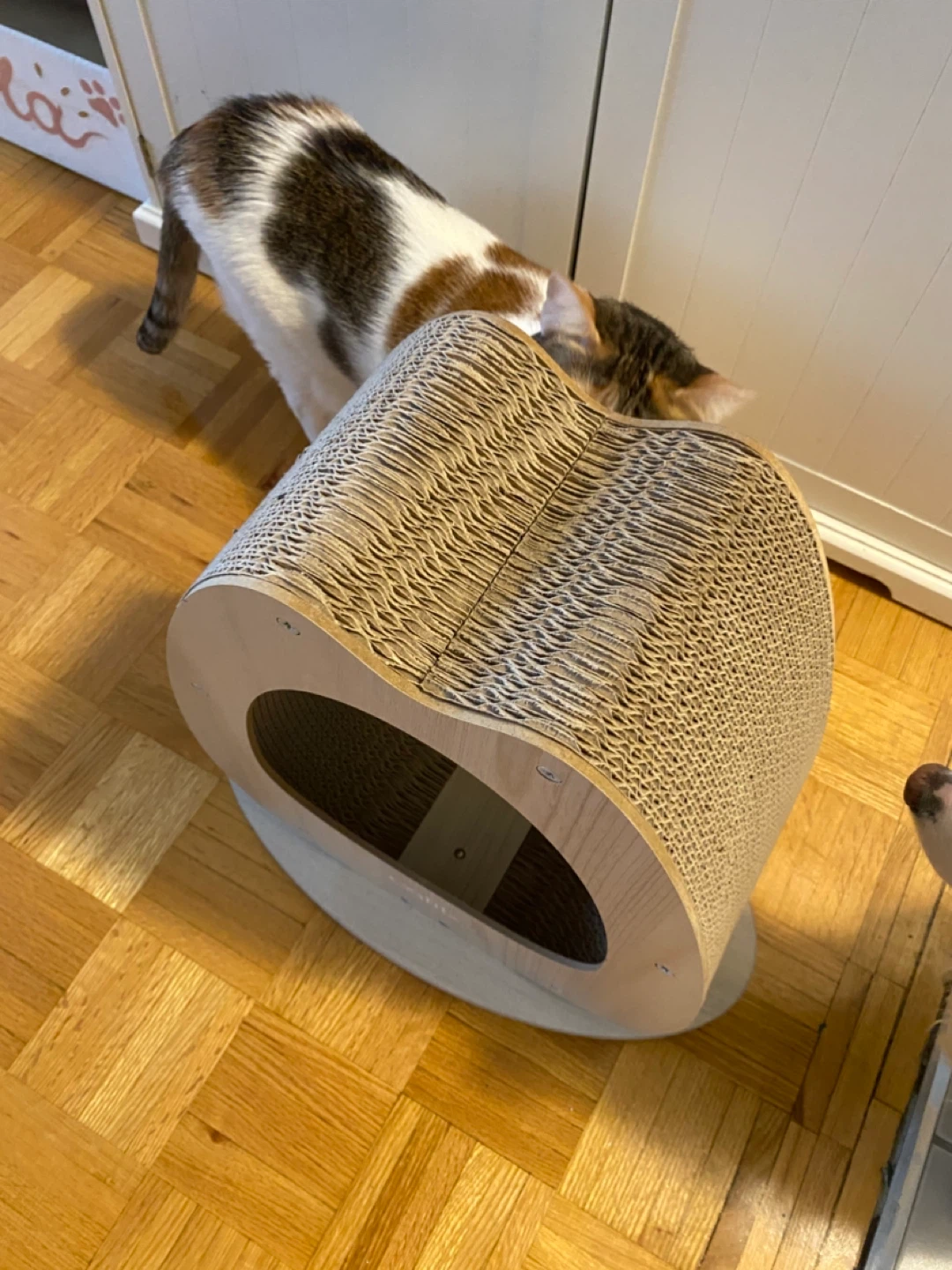 Cat scratcher - photo 2