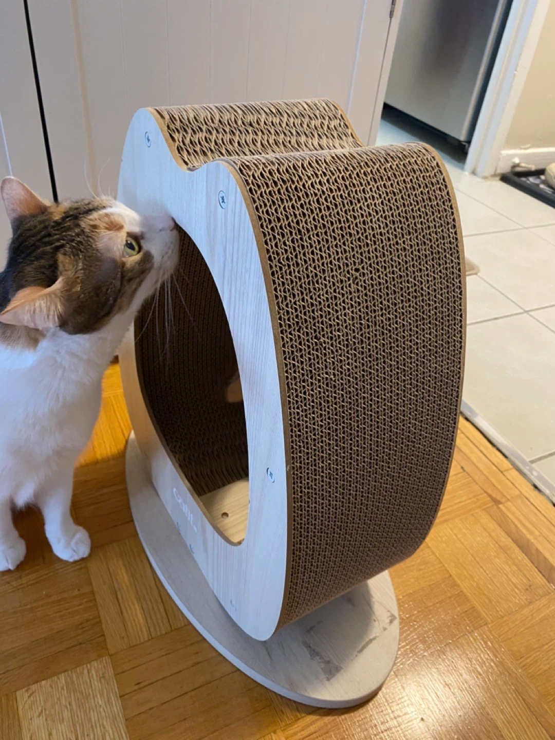 Cat scratcher - photo 3