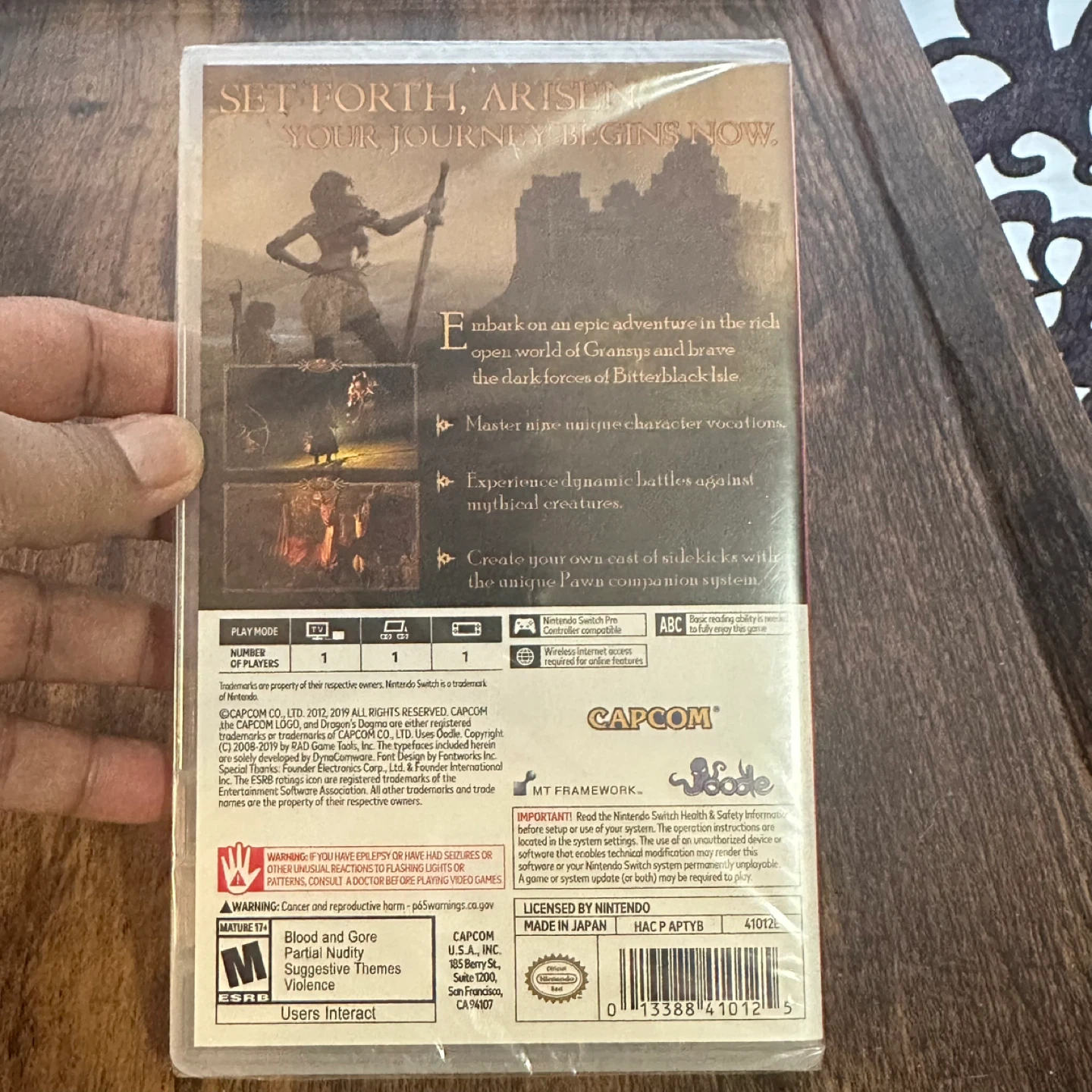Dragon's Dogma: Dark Arisen Nintendo Switch Game - photo 2