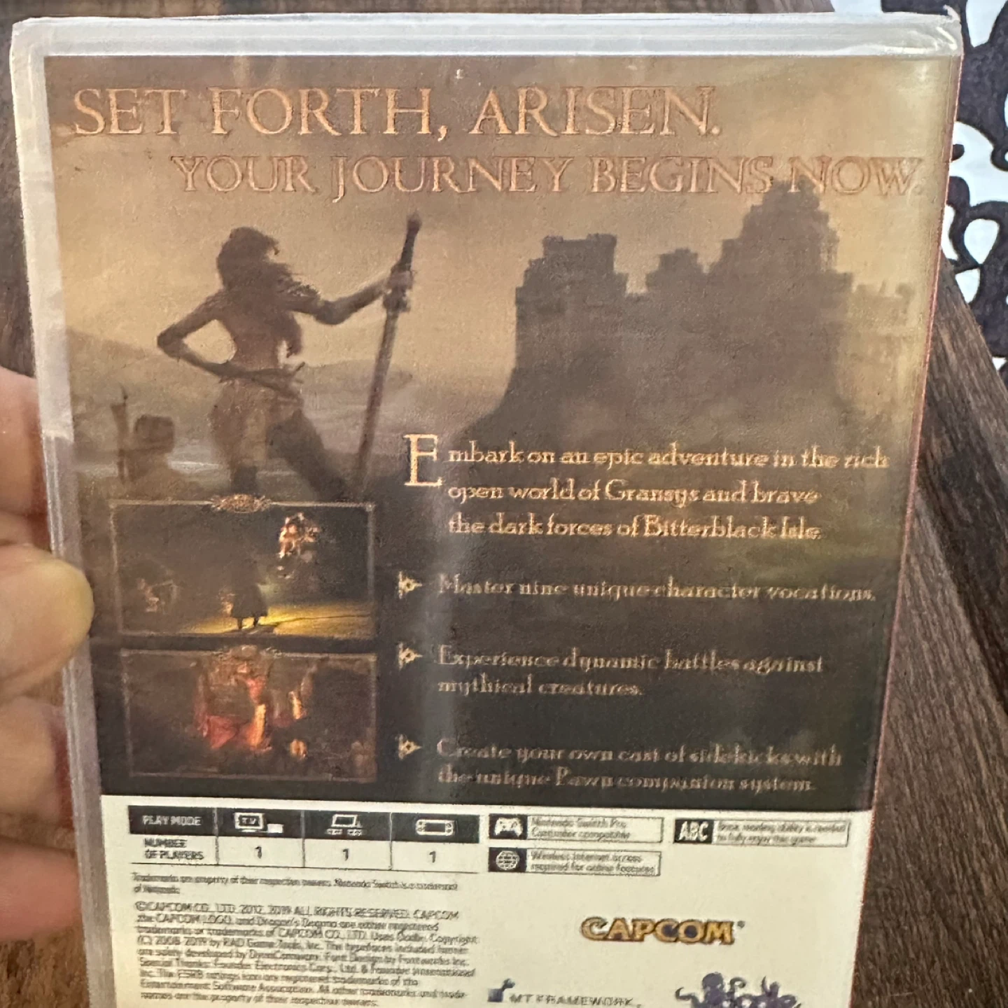 Dragon's Dogma: Dark Arisen Nintendo Switch Game - photo 3