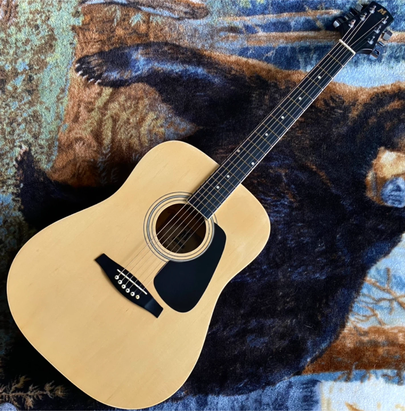 Mirage Acoustic - photo 2