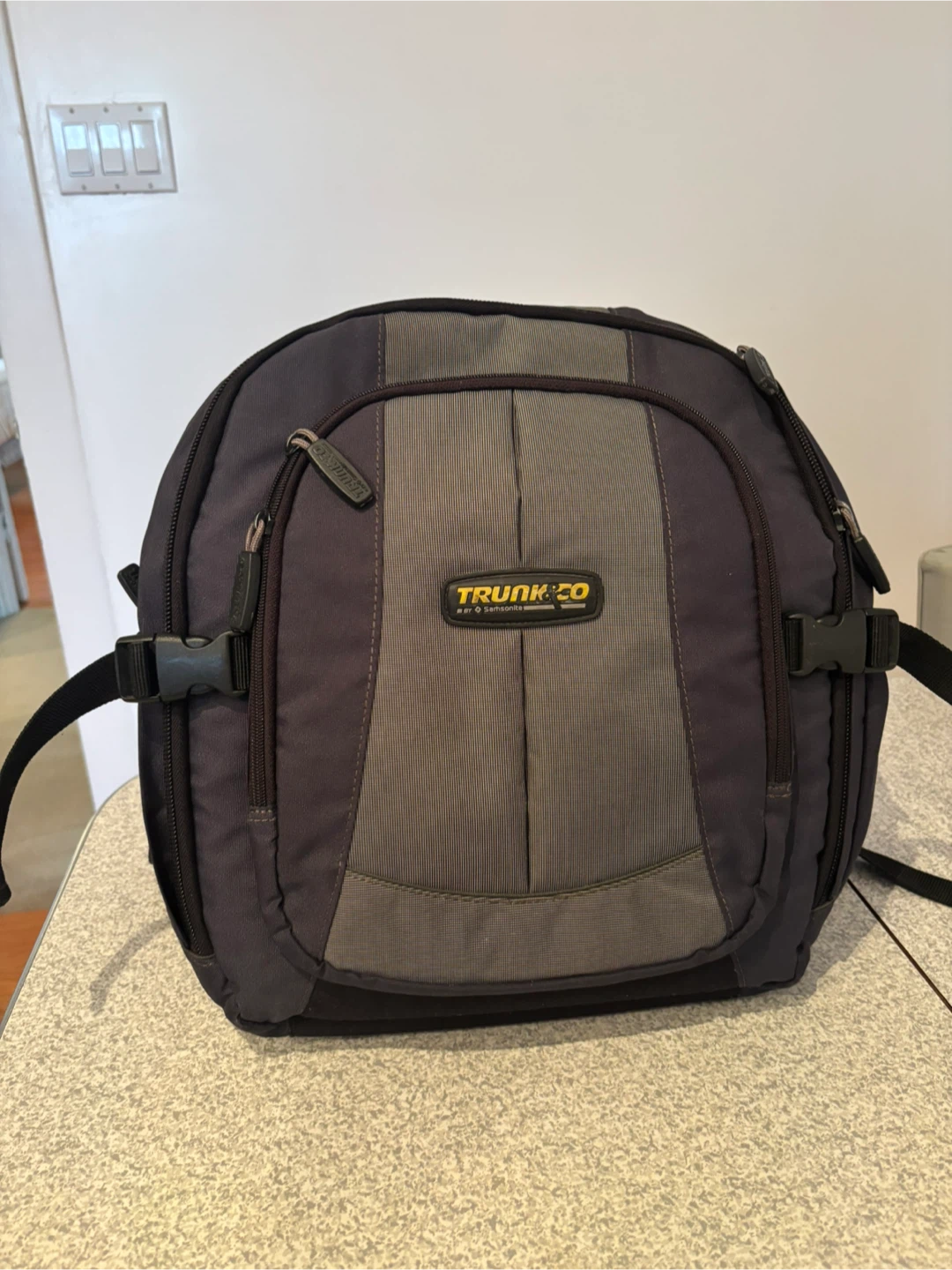 SAMSONITE TRUNK 2.0 Backpack