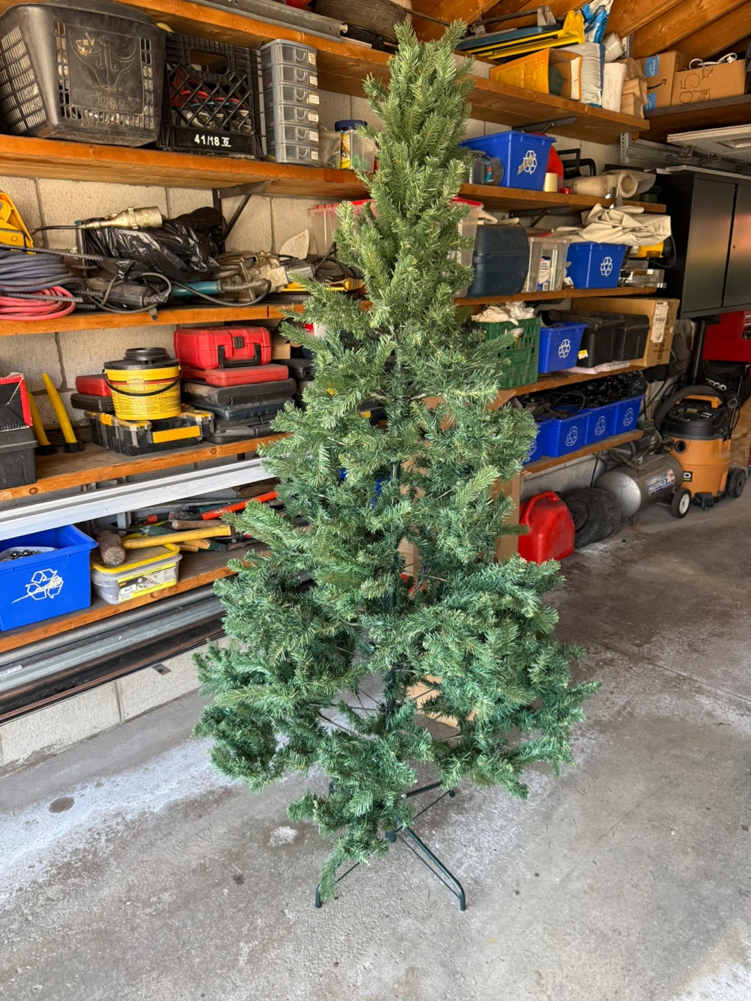 Christmas tree - photo 2