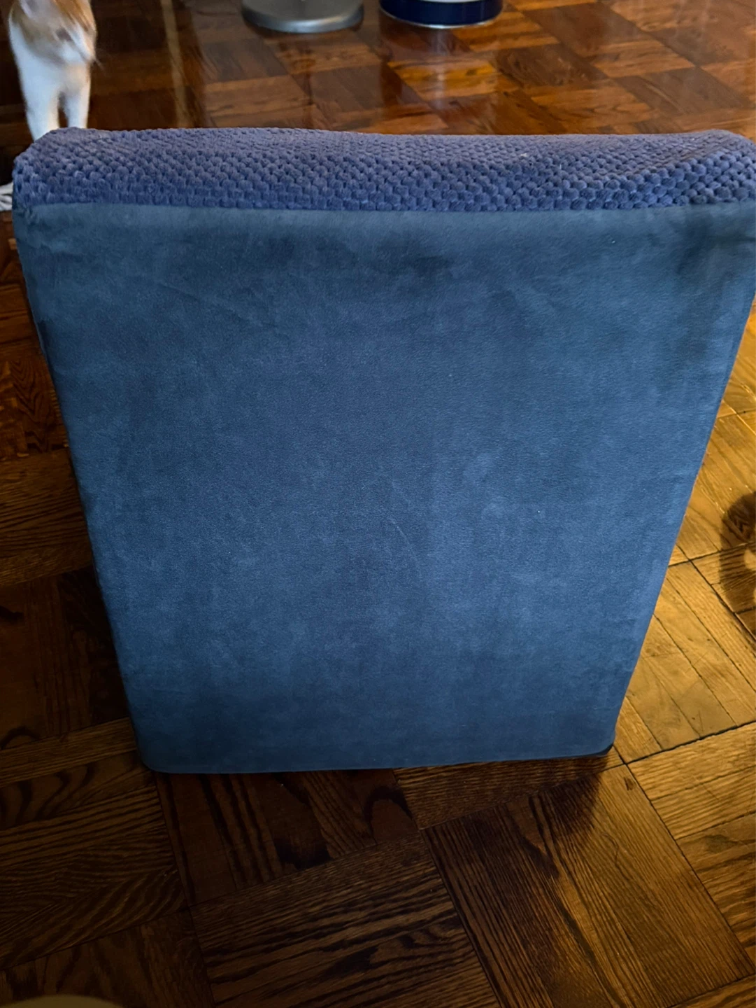 Blue Pet Stairs - photo 2