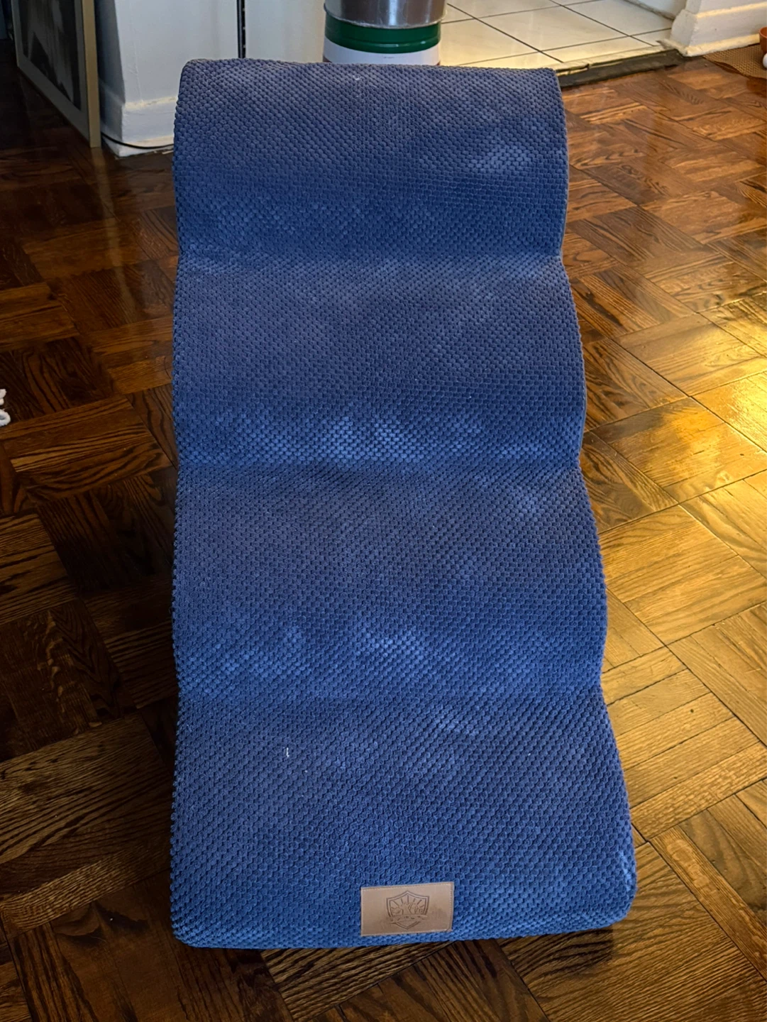 Blue Pet Stairs - photo 3