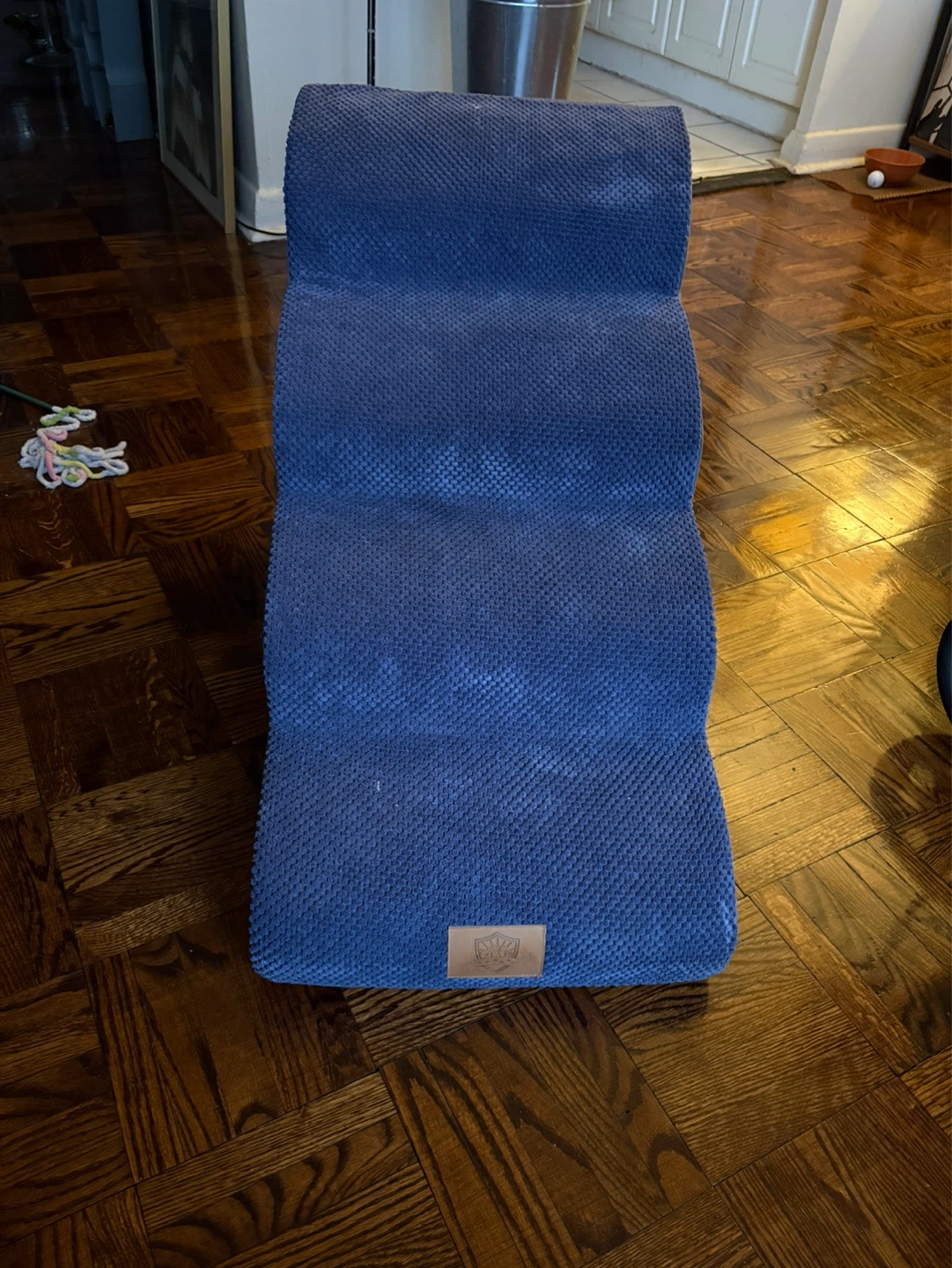 Blue Pet Stairs - photo 4