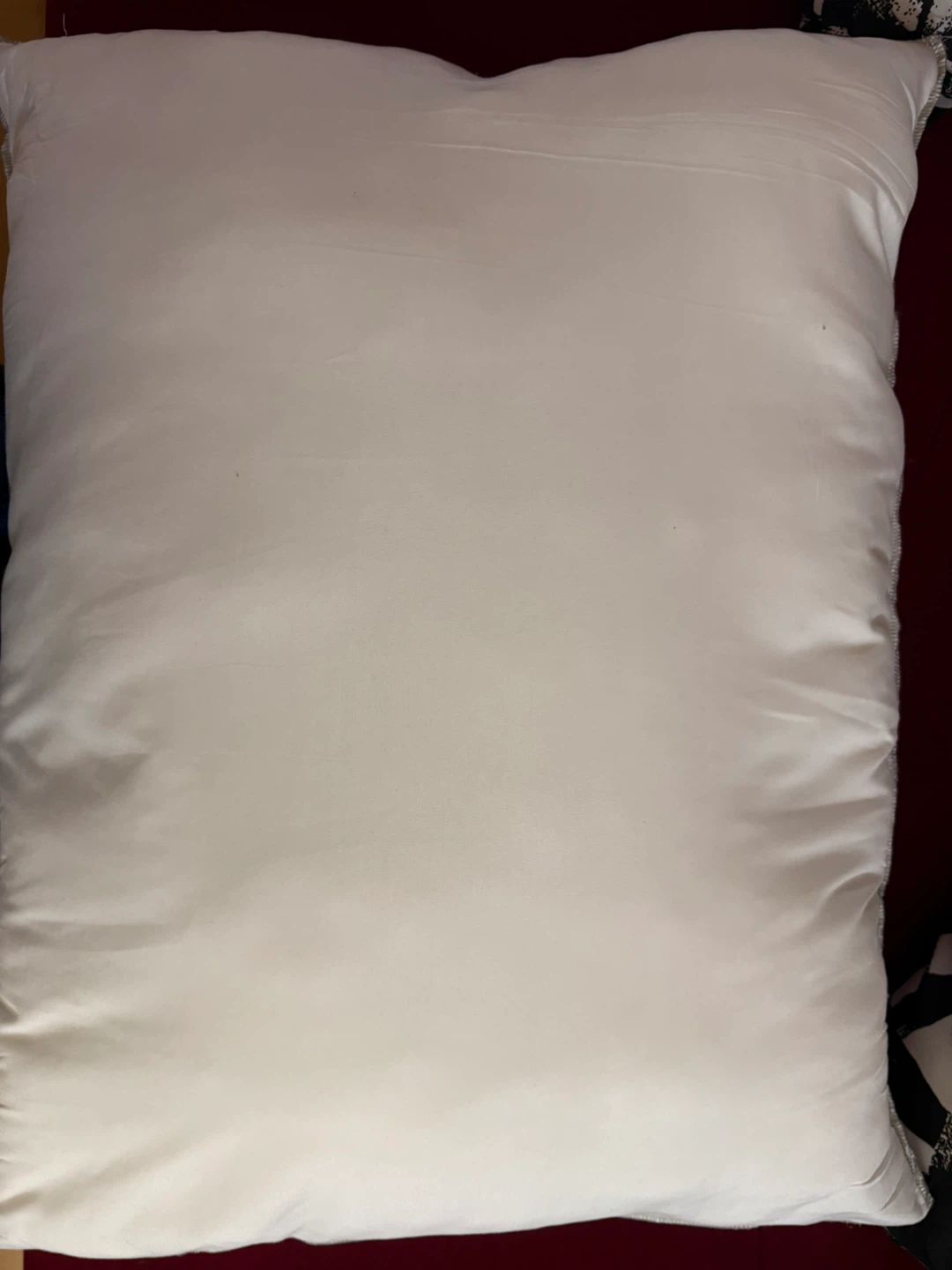 IKEA AXAG Pillow