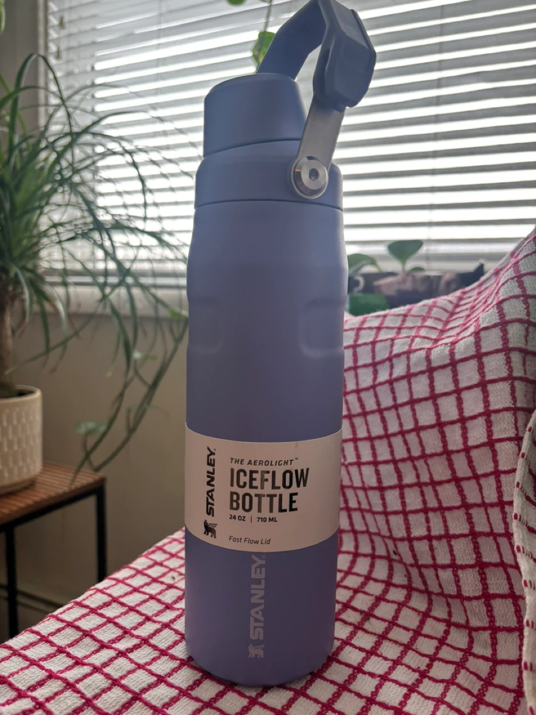 Stanley IceFlow Bottle - 24 oz / 710 mL