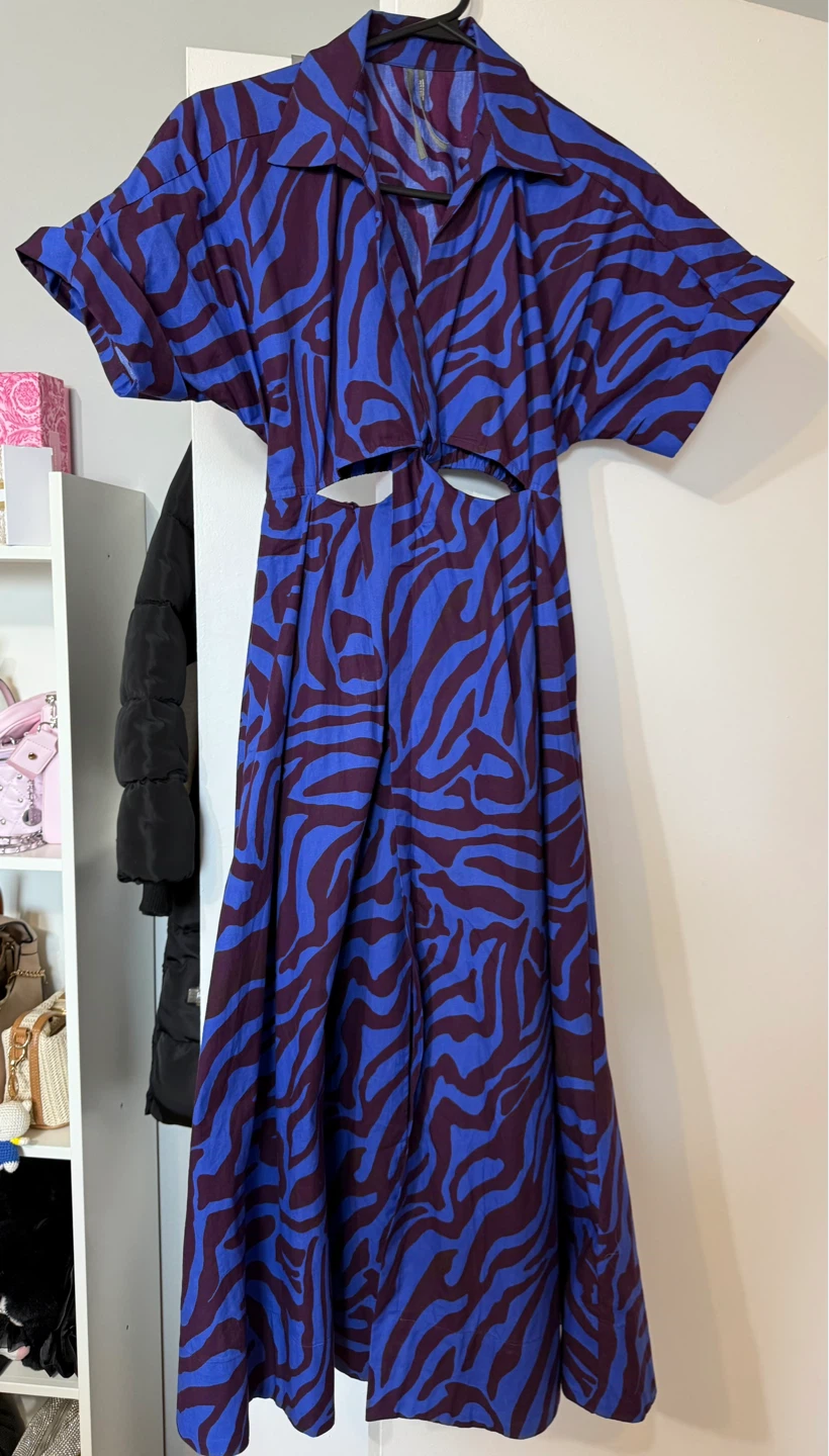 Anthropologie Blue Zebra Print Maxi Dress XS - photo 2