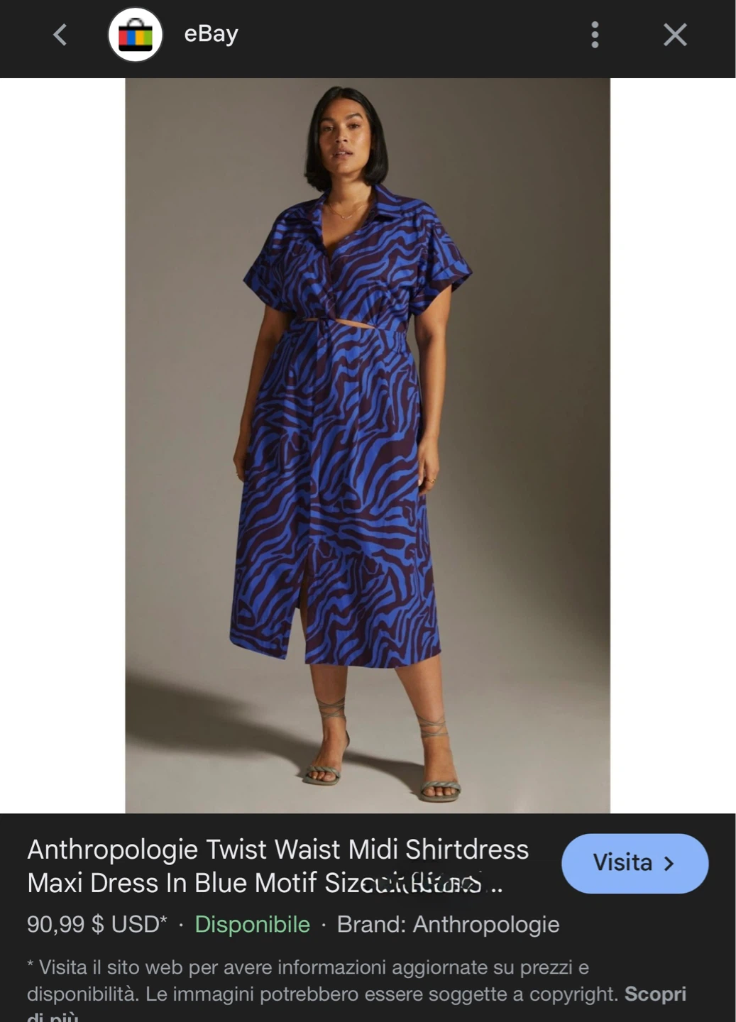 Anthropologie Blue Zebra Print Maxi Dress XS