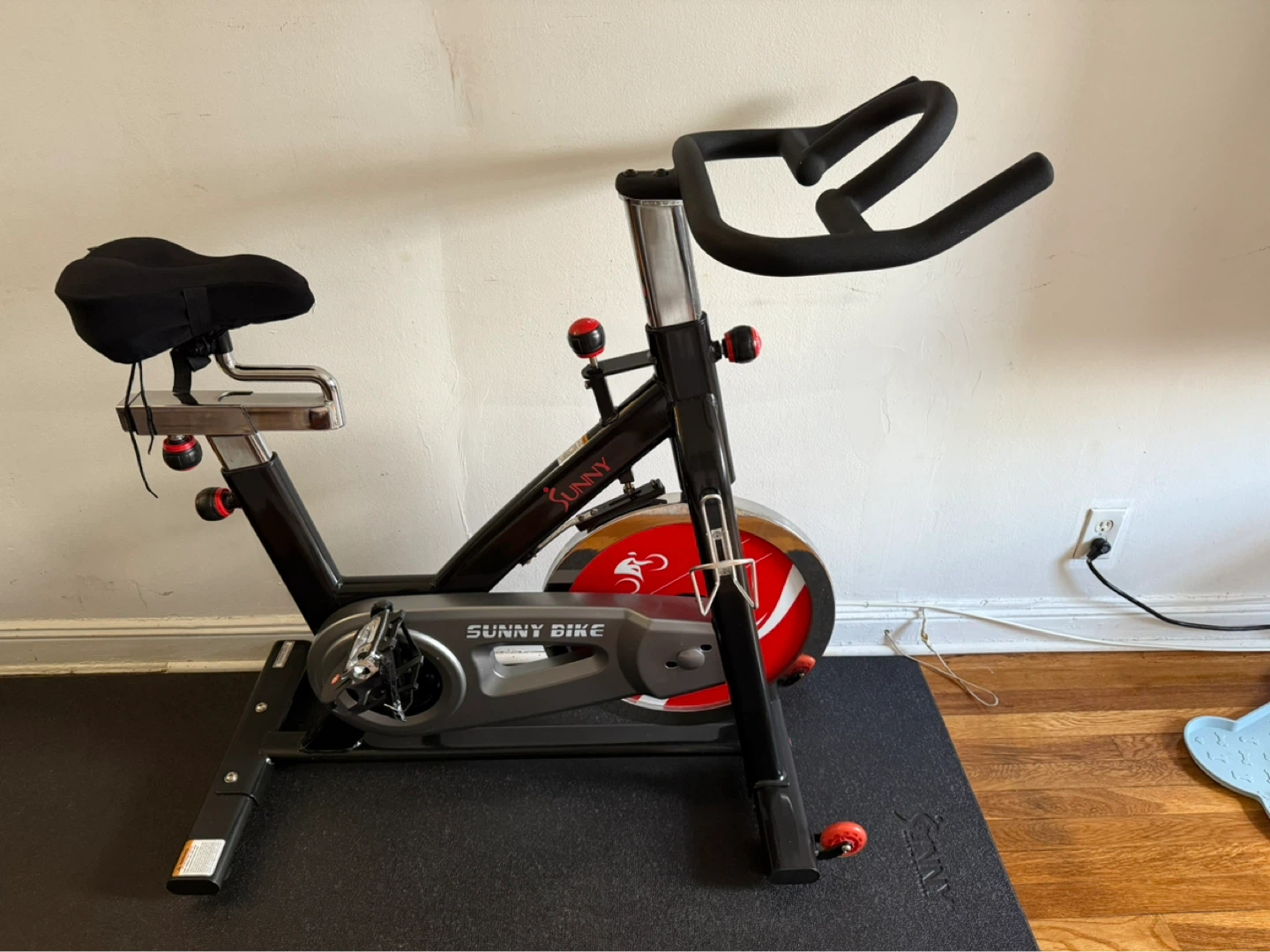 Sunny Health & Fitness Spin Bike and Sunny Mat - 79 inch