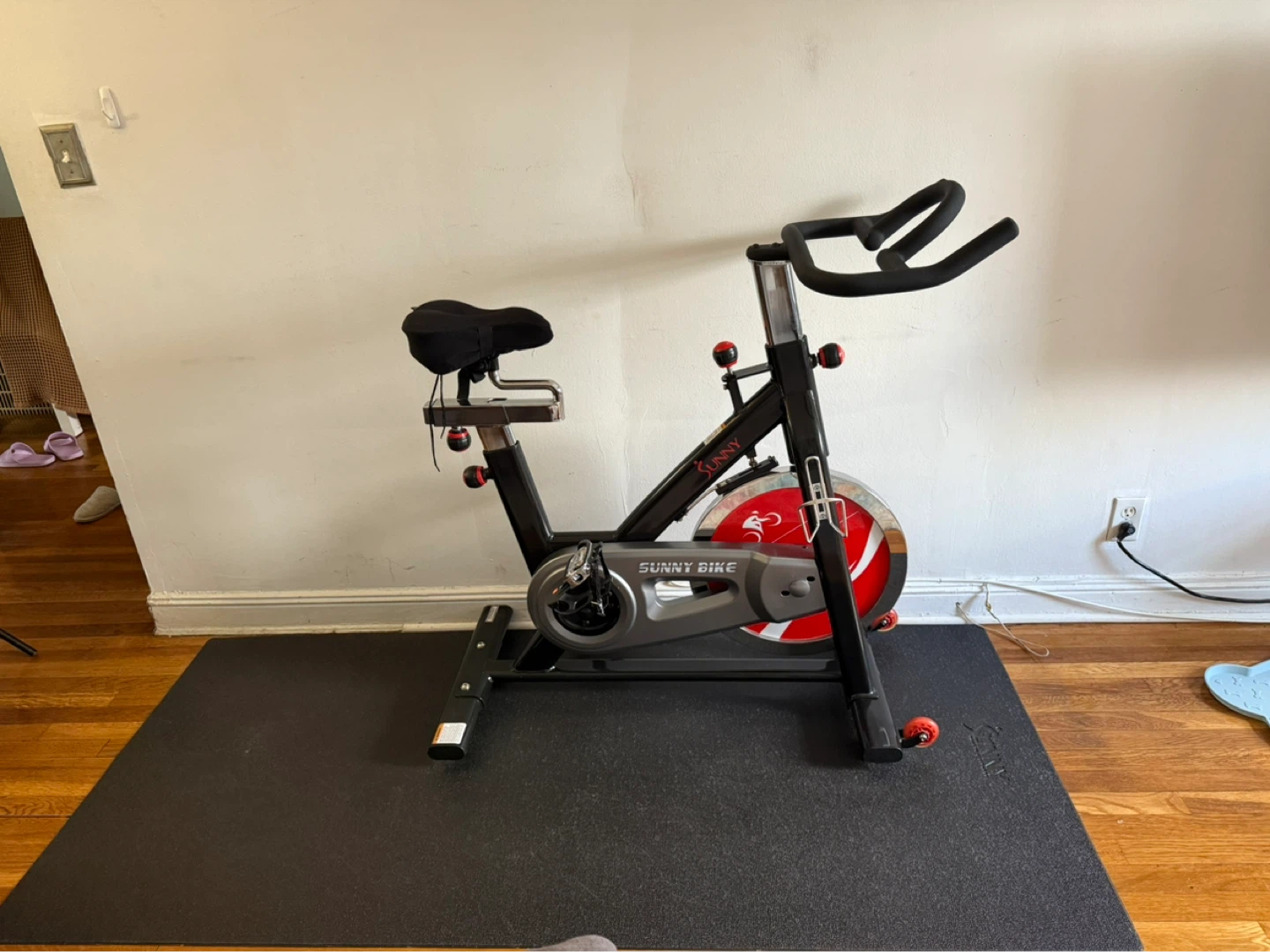 Sunny Health & Fitness Spin Bike and Sunny Mat - 79 inch - photo 2
