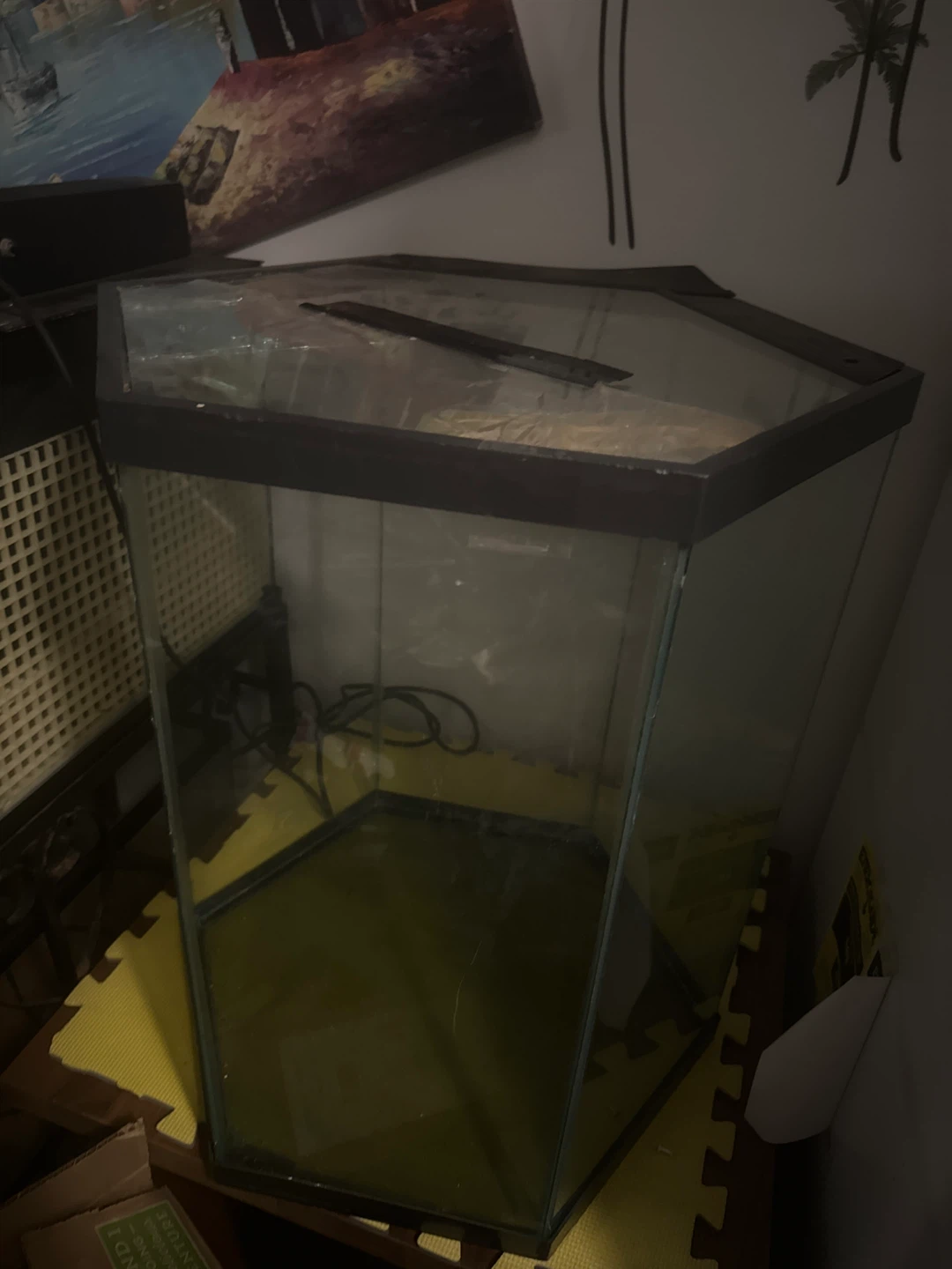 Hexagonal Glass Aquarium Tank - photo 2