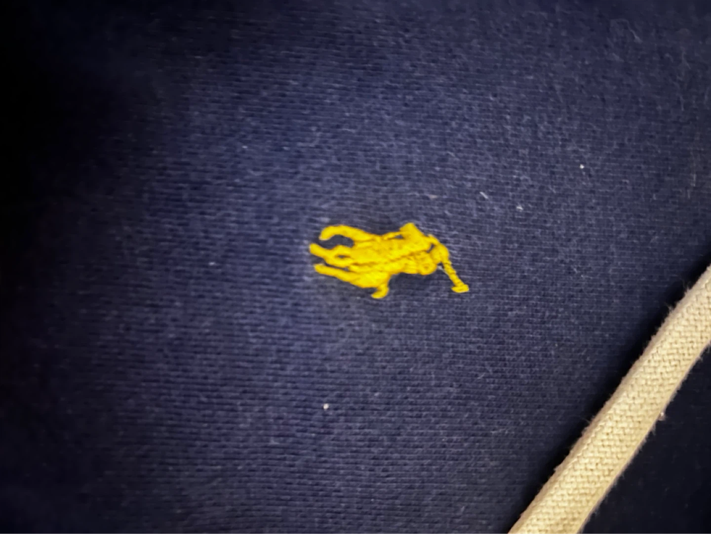 Polo Ralph Lauren Navy Blue Full Zip Hoodie - photo 4