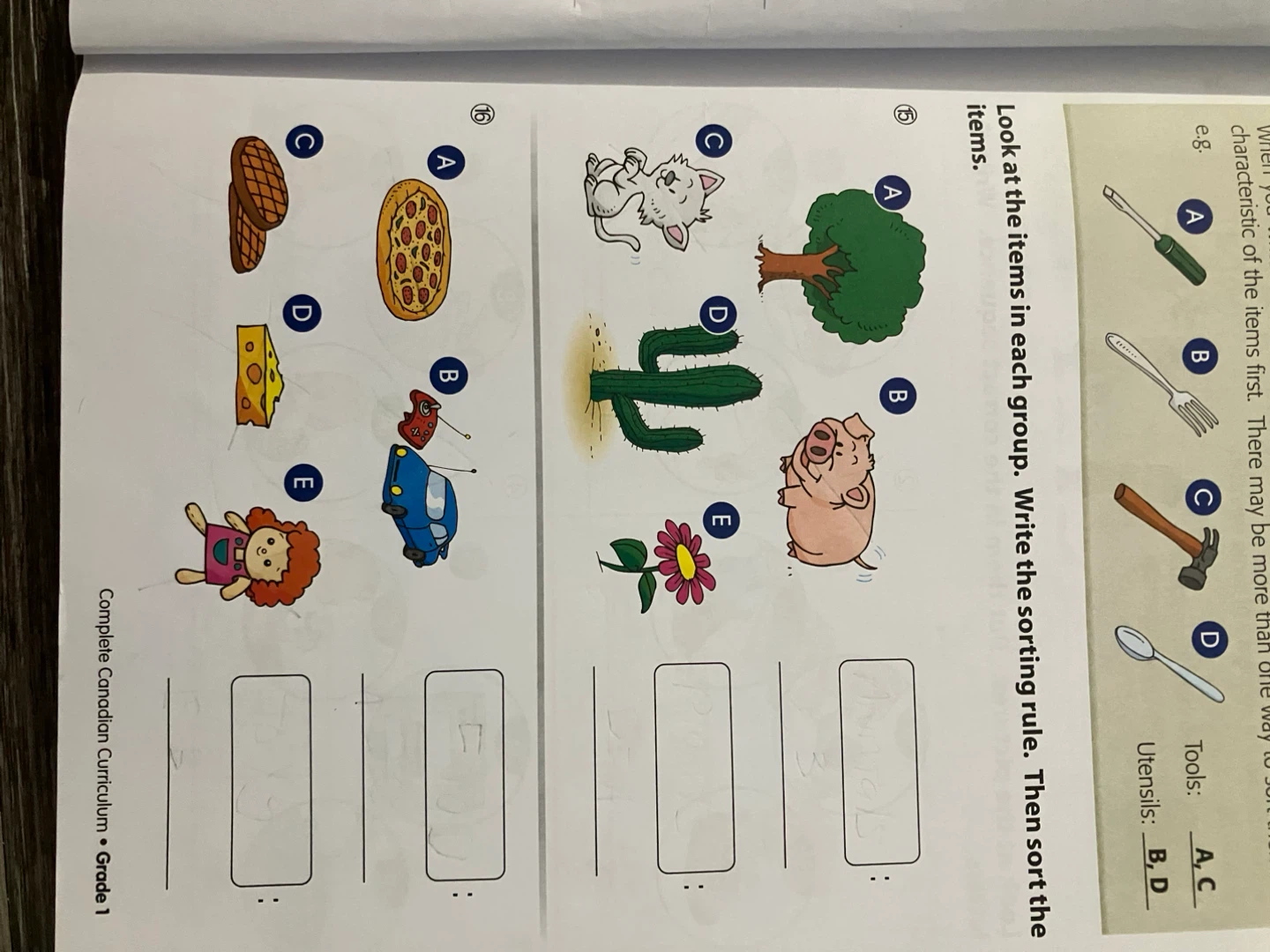 Complete Canadian Curriculum Grade 1 Workbook - photo 5