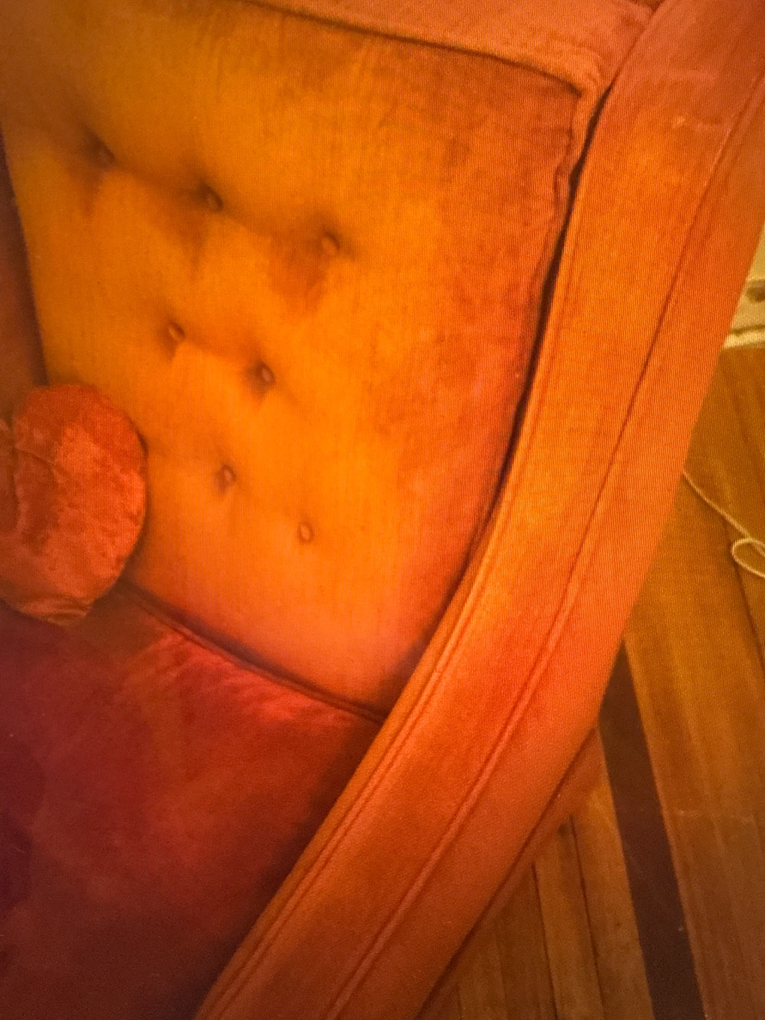 Orange Velvet Accent Chair with Heart and Dog Pillows - photo 3