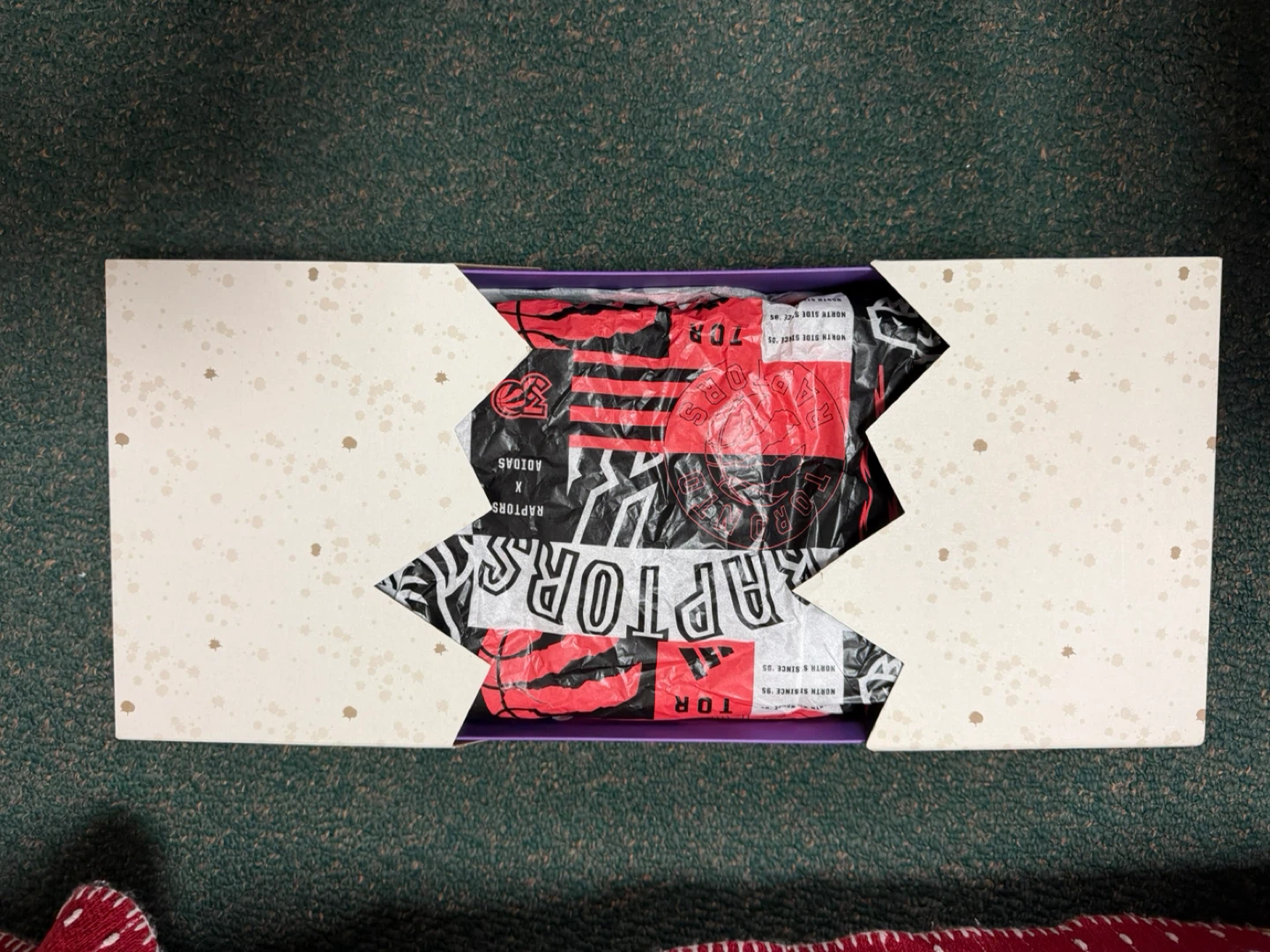 Adidas Ultraboost 5X Toronto Raptors 30th Anv. - photo 5